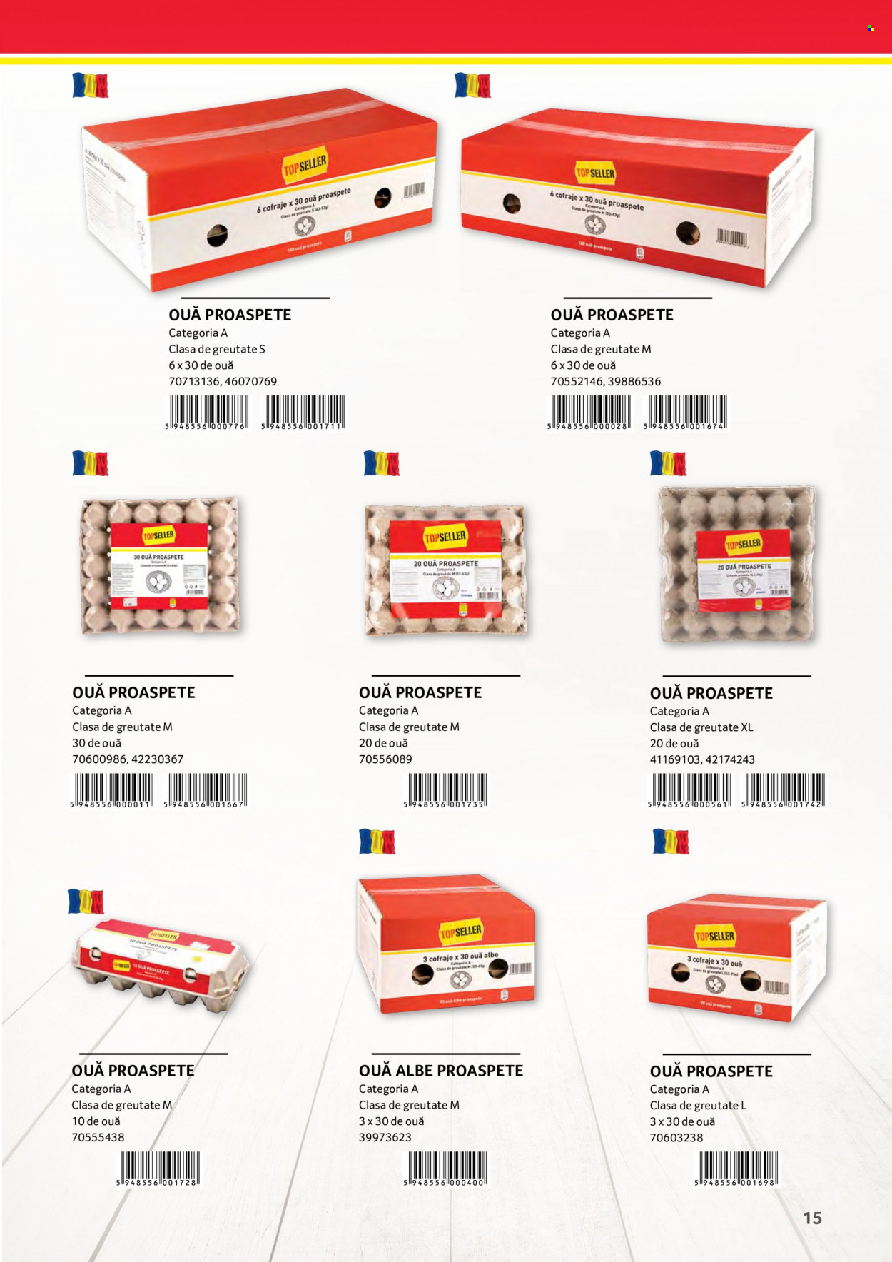 Catalog Selgros - 02.01.2022 - 31.01.2022. Pagina 15