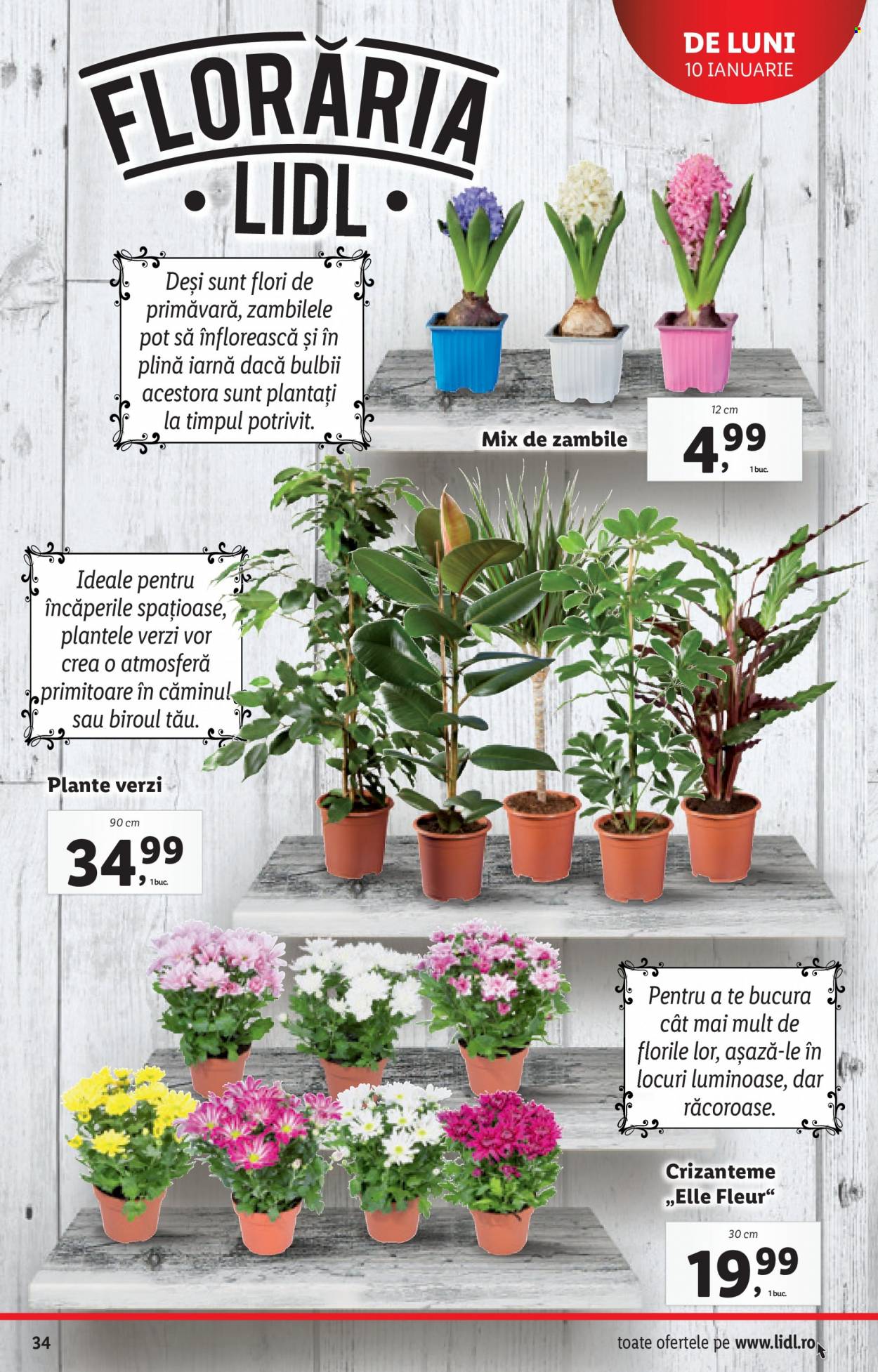 Catalog Lidl - 10.01.2022 - 16.01.2022. Pagina 34