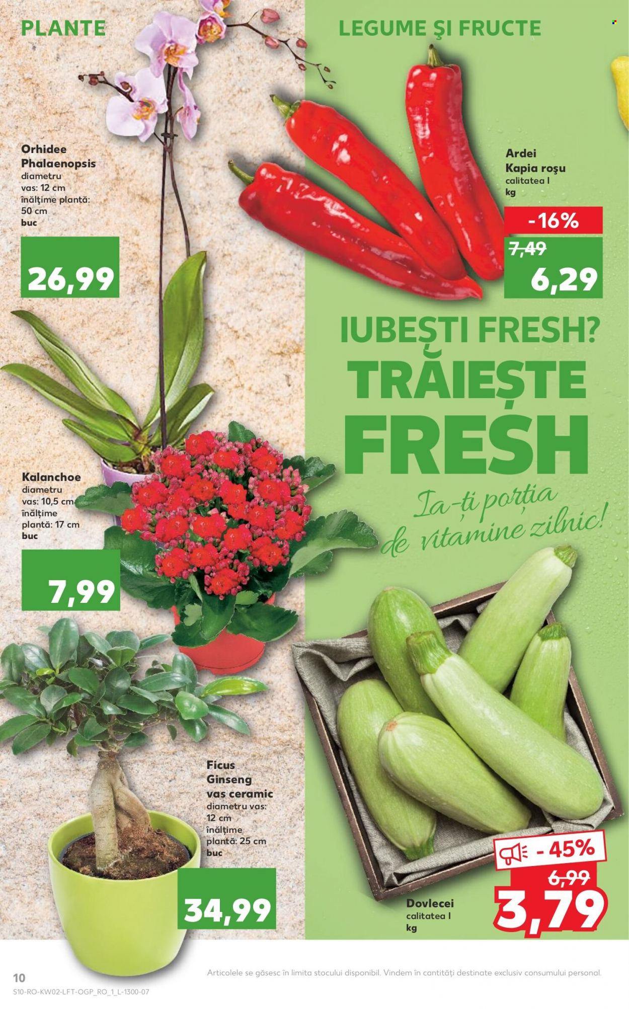Catalog Kaufland - 12.01.2022 - 18.01.2022. Pagina 10