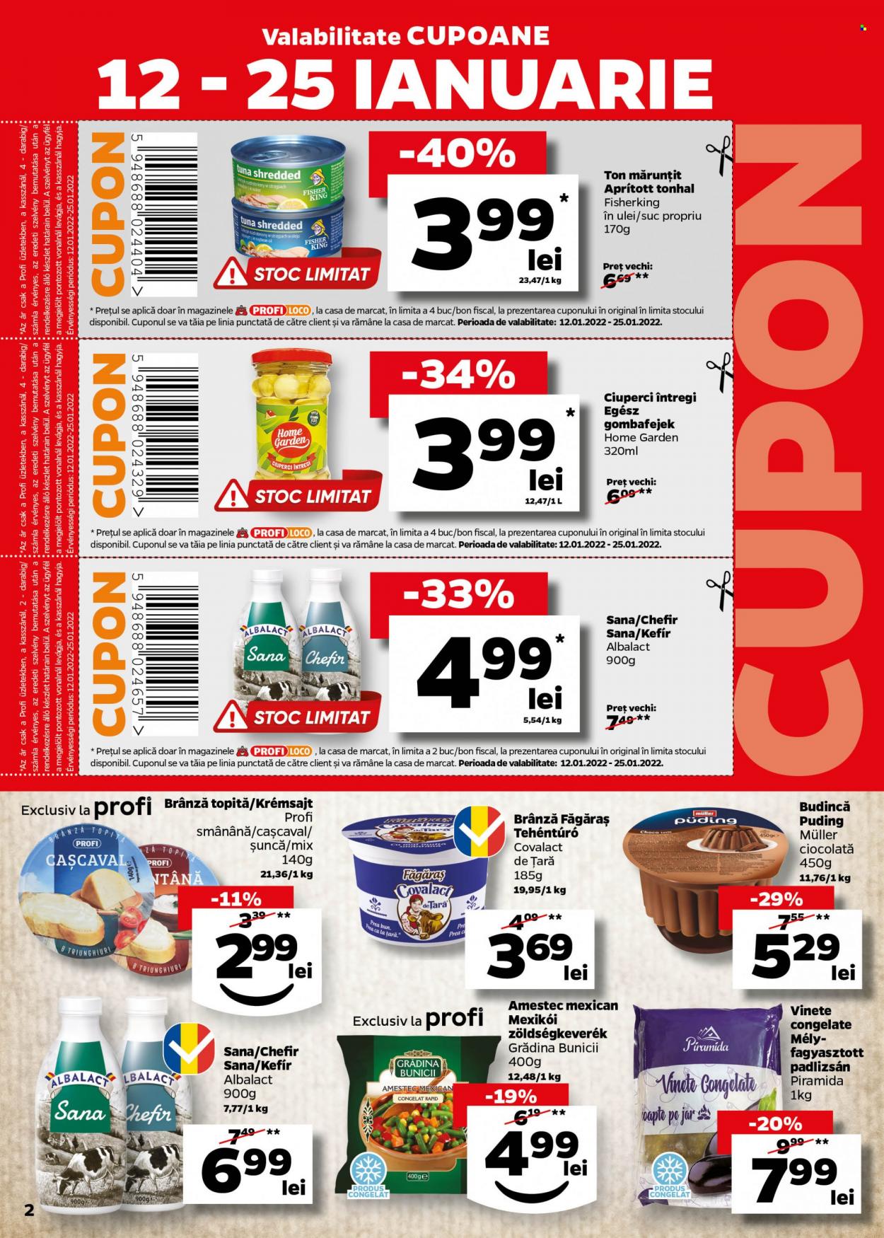 Catalog Profi Loco - 12.01.2022 - 25.01.2022. Pagina 2