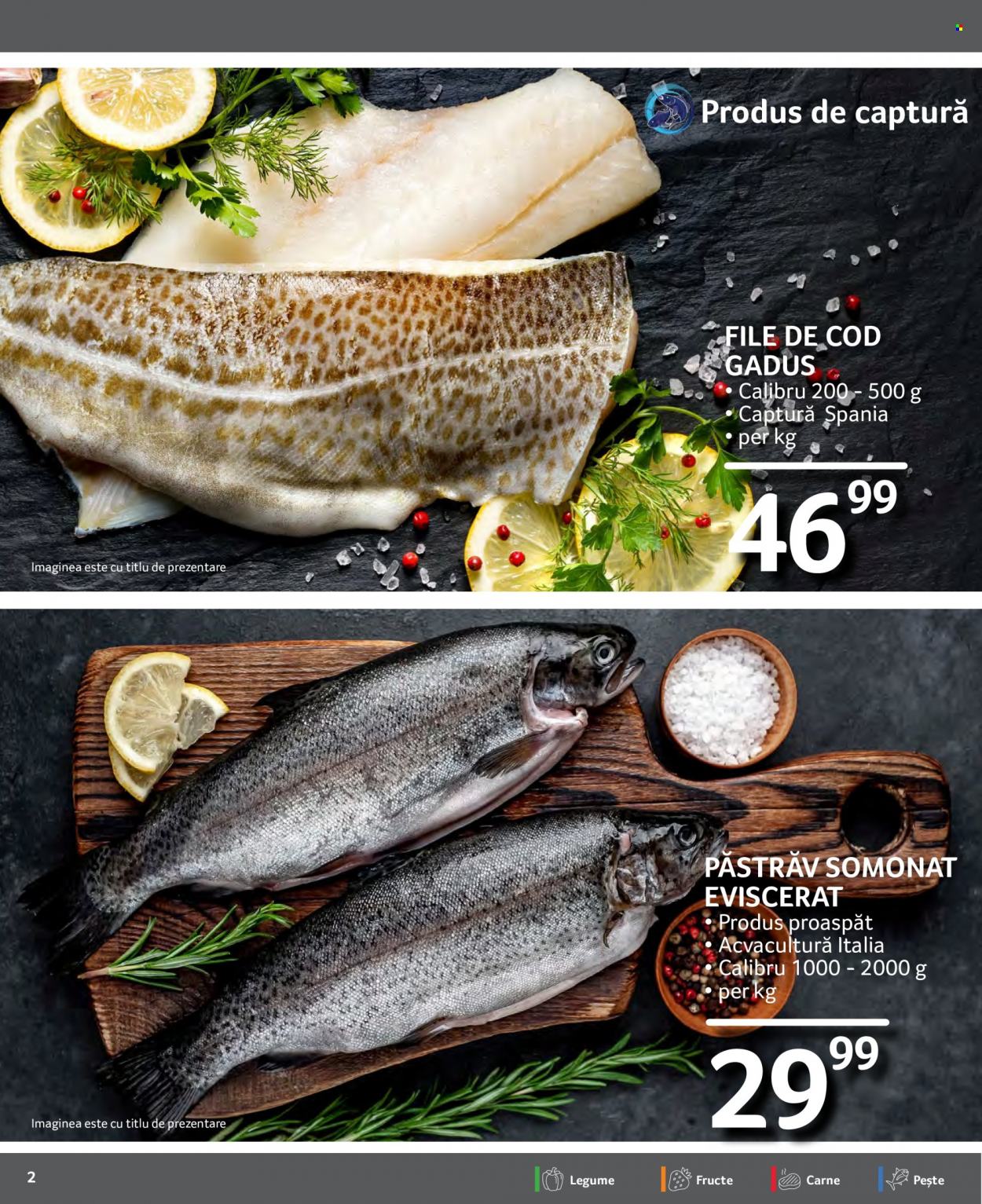 Catalog Selgros - 14.01.2022 - 20.01.2022. Pagina 2