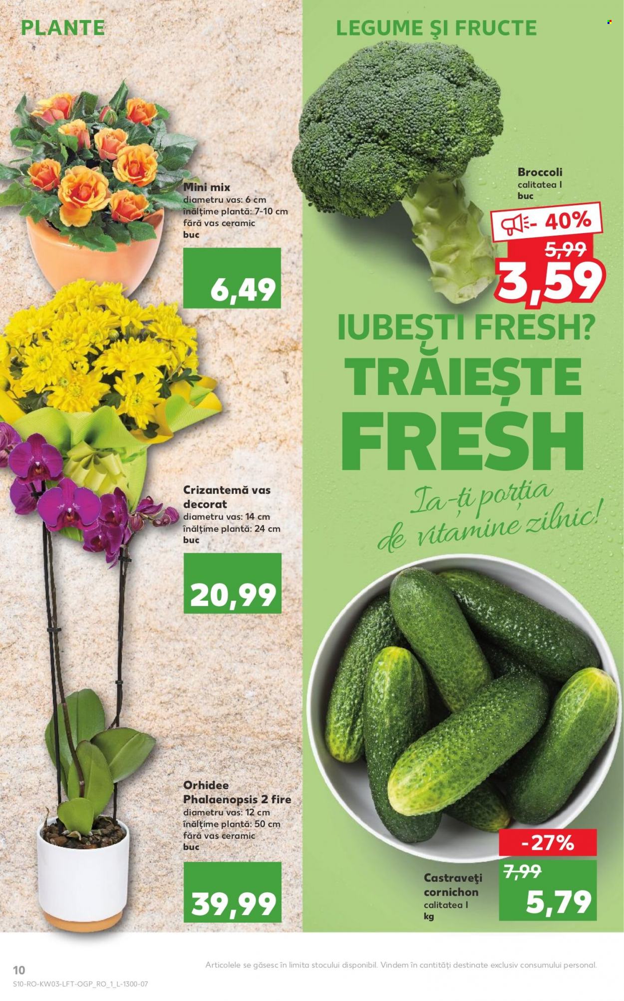 Catalog Kaufland - 19.01.2022 - 25.01.2022. Pagina 10