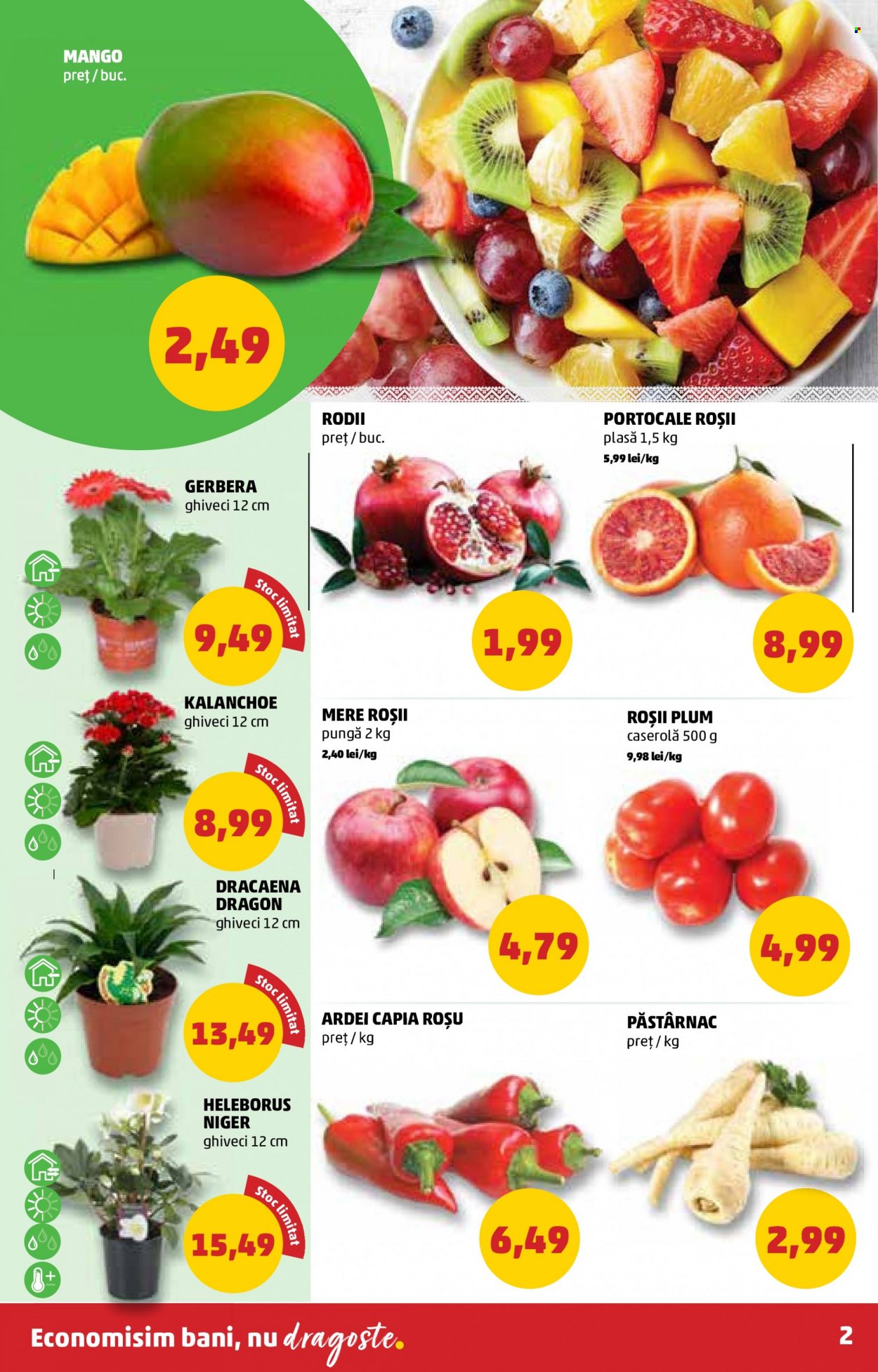 Catalog PENNY - 26.01.2022 - 01.02.2022. Pagina 2