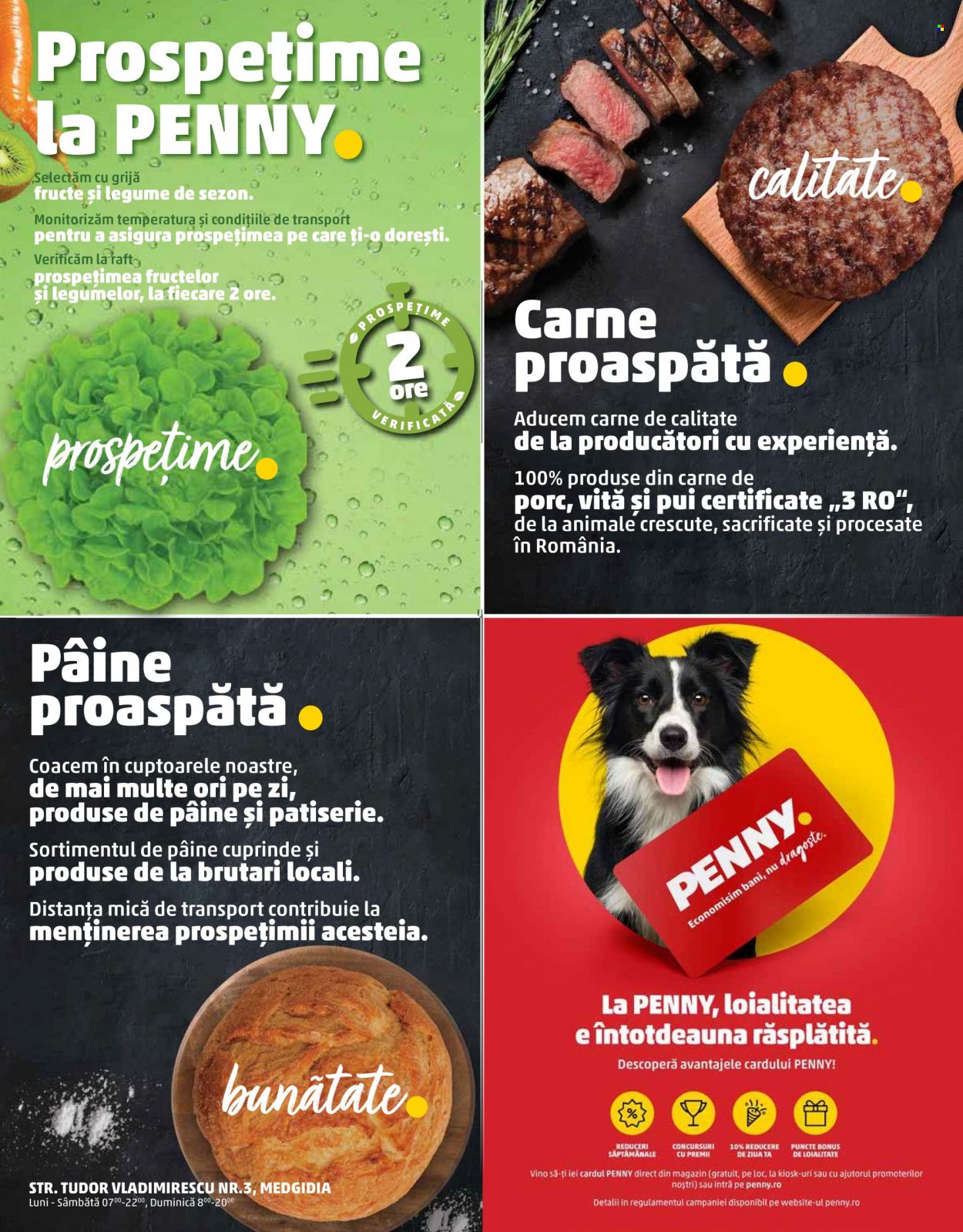 Catalog PENNY - 31.01.2022 - 01.02.2022. Pagina 2