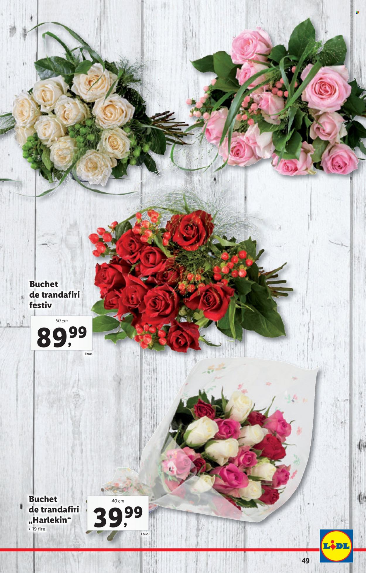 Catalog Lidl - 07.02.2022 - 13.02.2022. Pagina 49