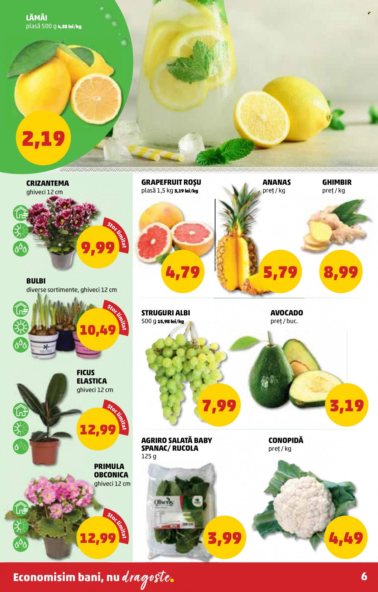 Catalog PENNY - 02.02.2022 - 08.02.2022. Pagina 6