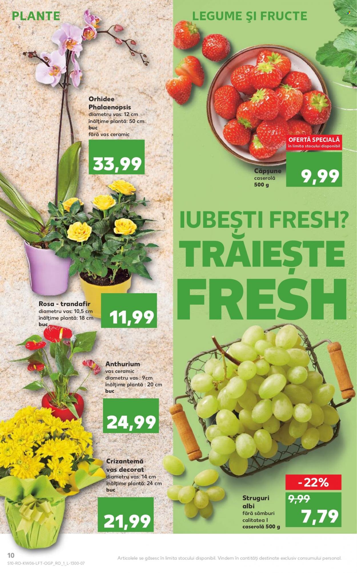 Catalog Kaufland - 09.02.2022 - 15.02.2022. Pagina 10