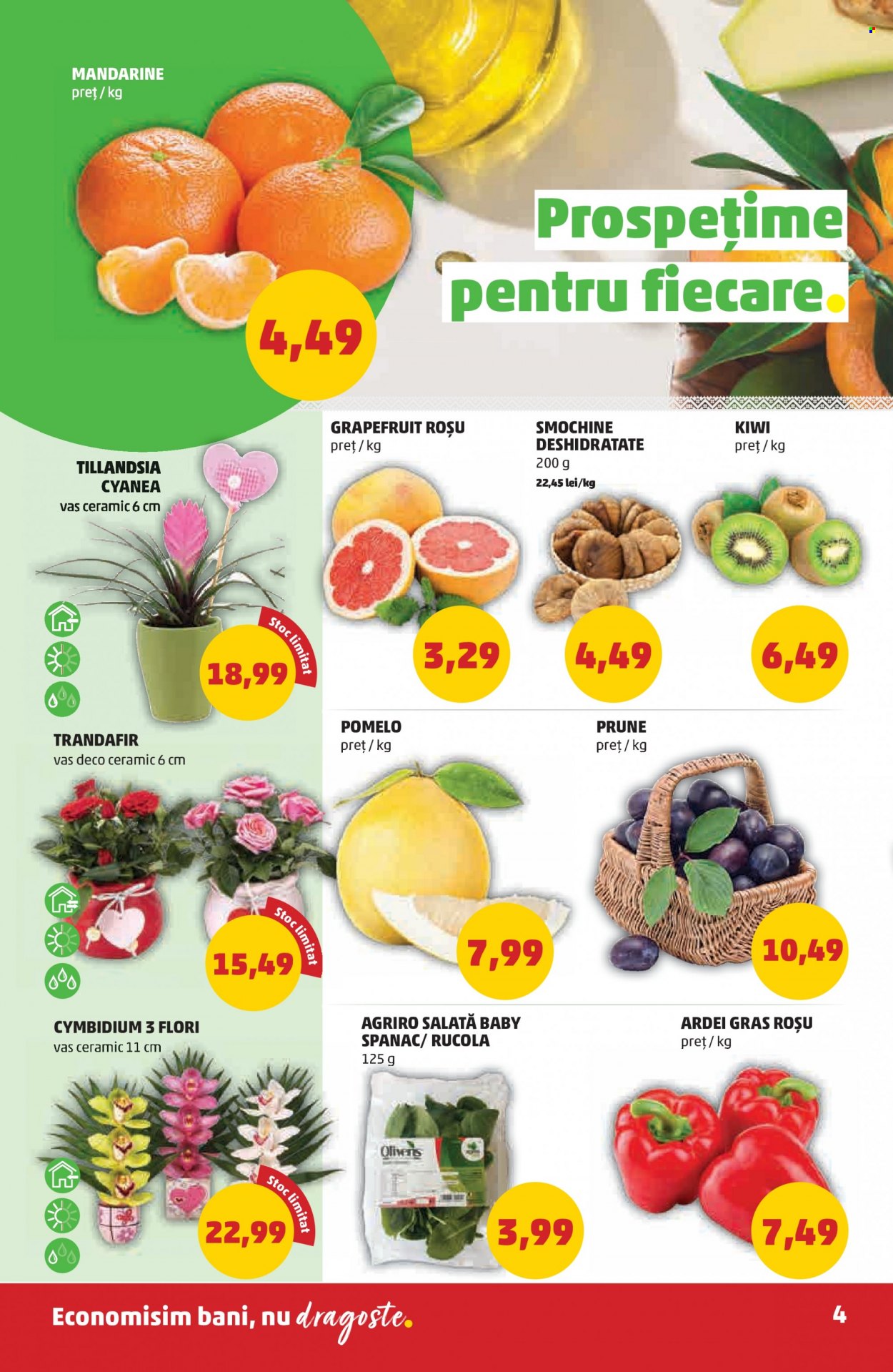 Catalog PENNY - 09.02.2022 - 15.02.2022. Pagina 4