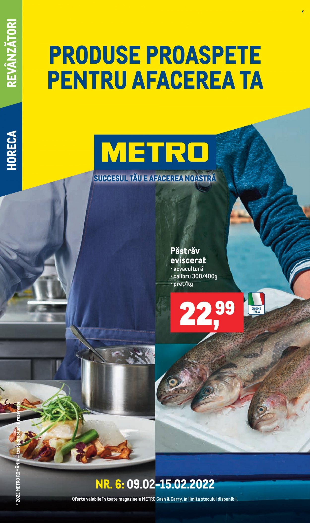 Catalog Metro - 09.02.2022 - 15.02.2022. Pagina 1