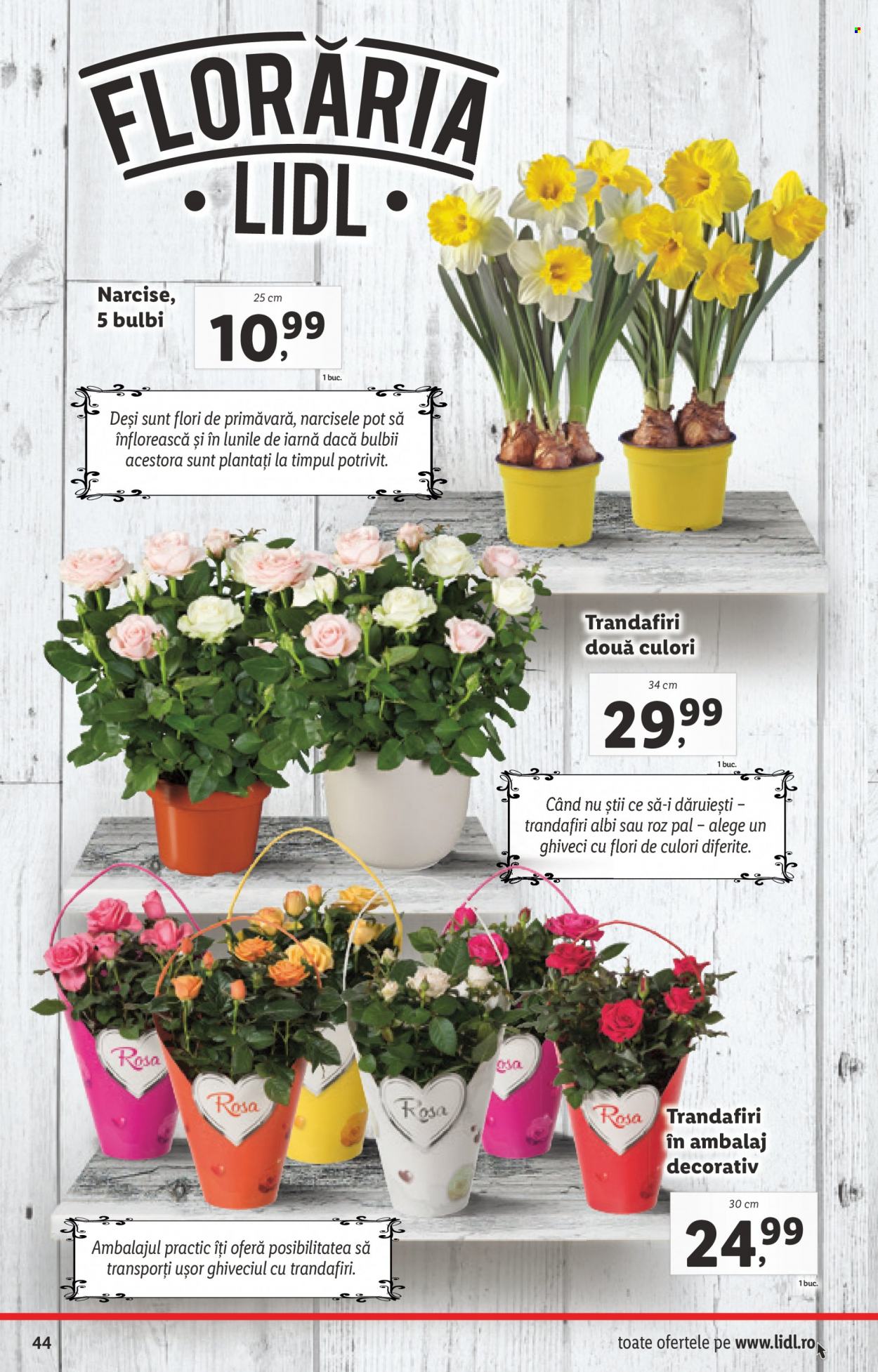 Catalog Lidl - 14.02.2022 - 20.02.2022. Pagina 44