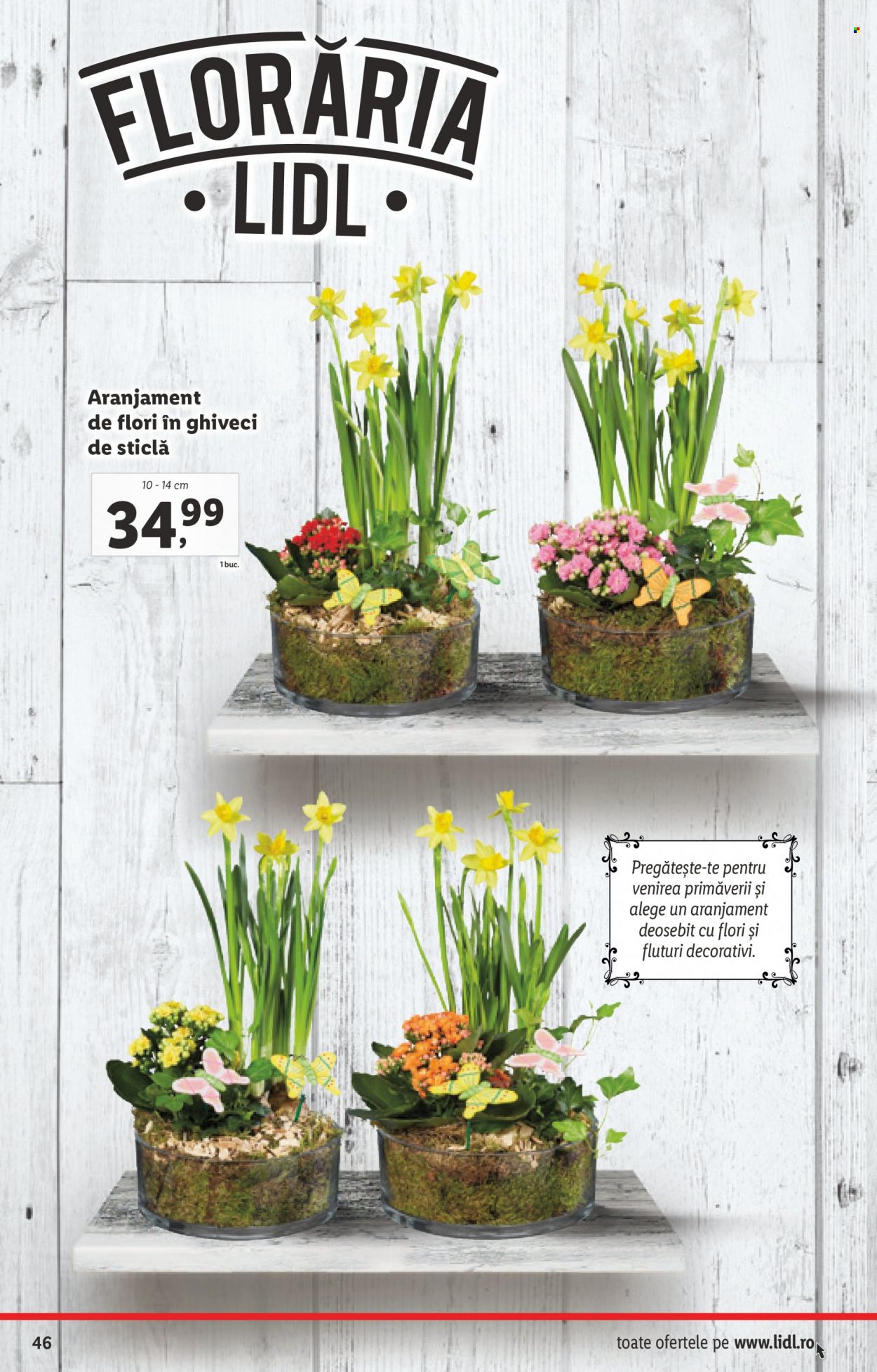 Catalog Lidl - 14.02.2022 - 20.02.2022. Pagina 46