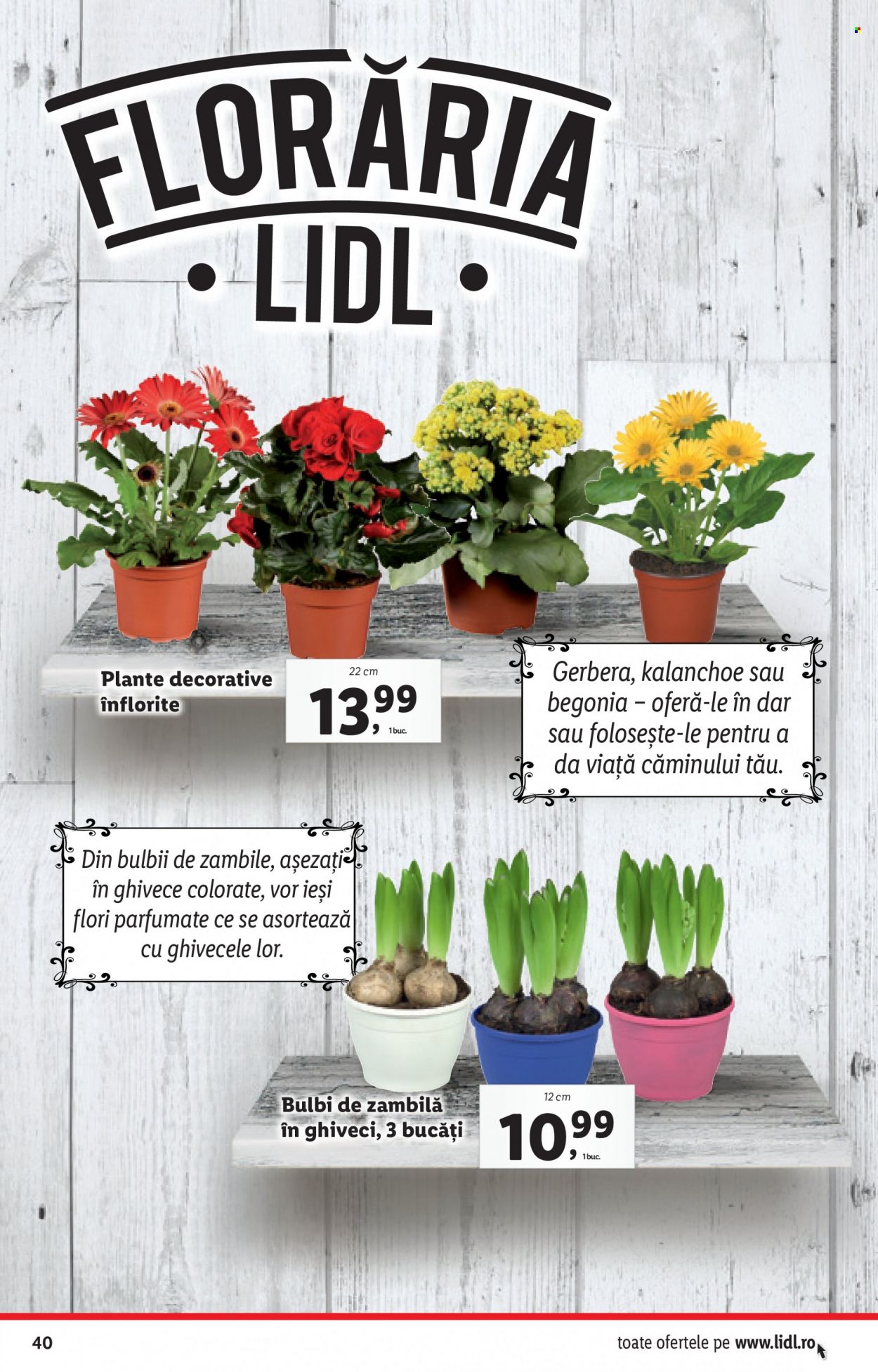 Catalog Lidl - 21.02.2022 - 27.02.2022. Pagina 40