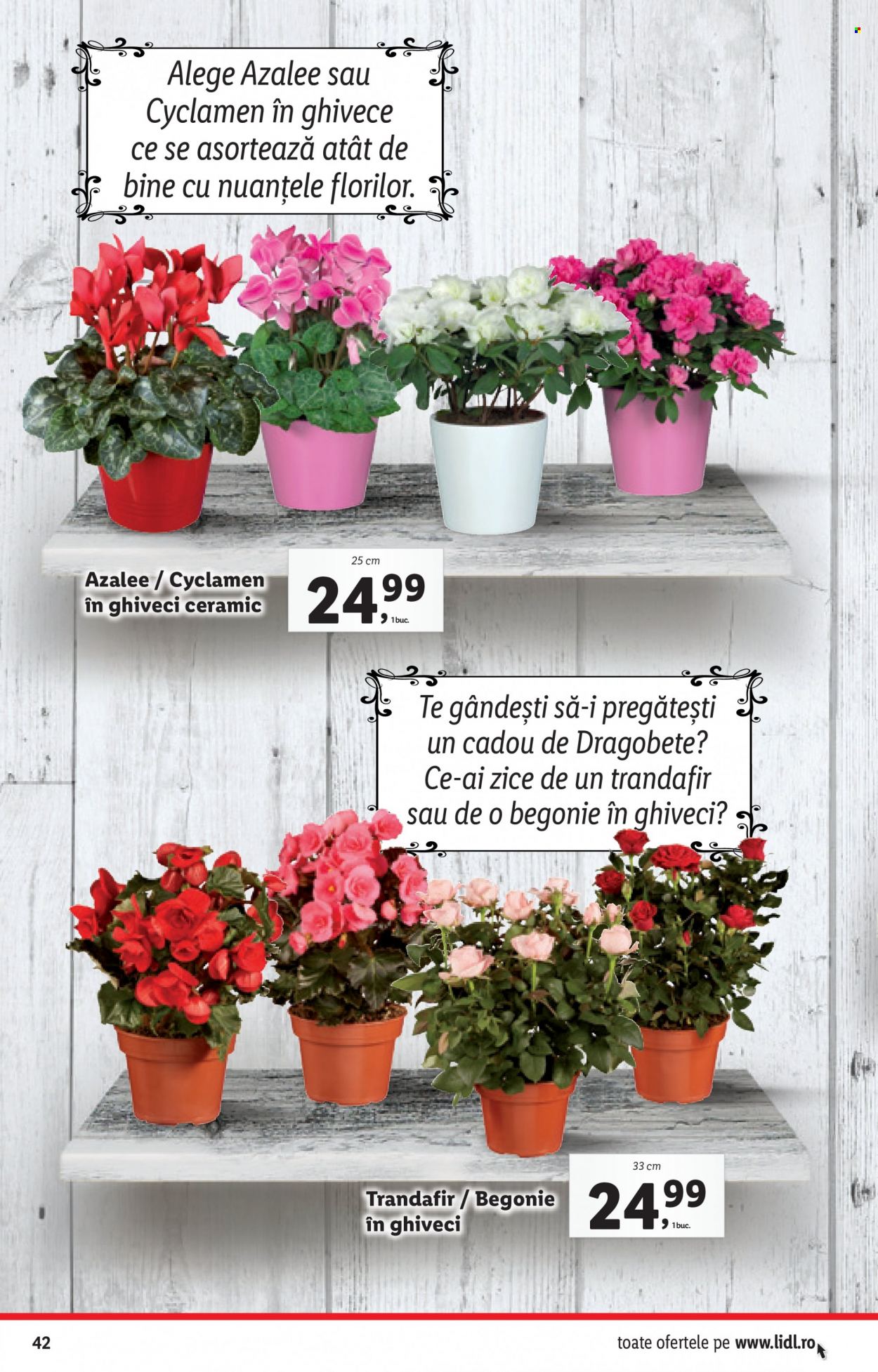 Catalog Lidl - 21.02.2022 - 27.02.2022. Pagina 42