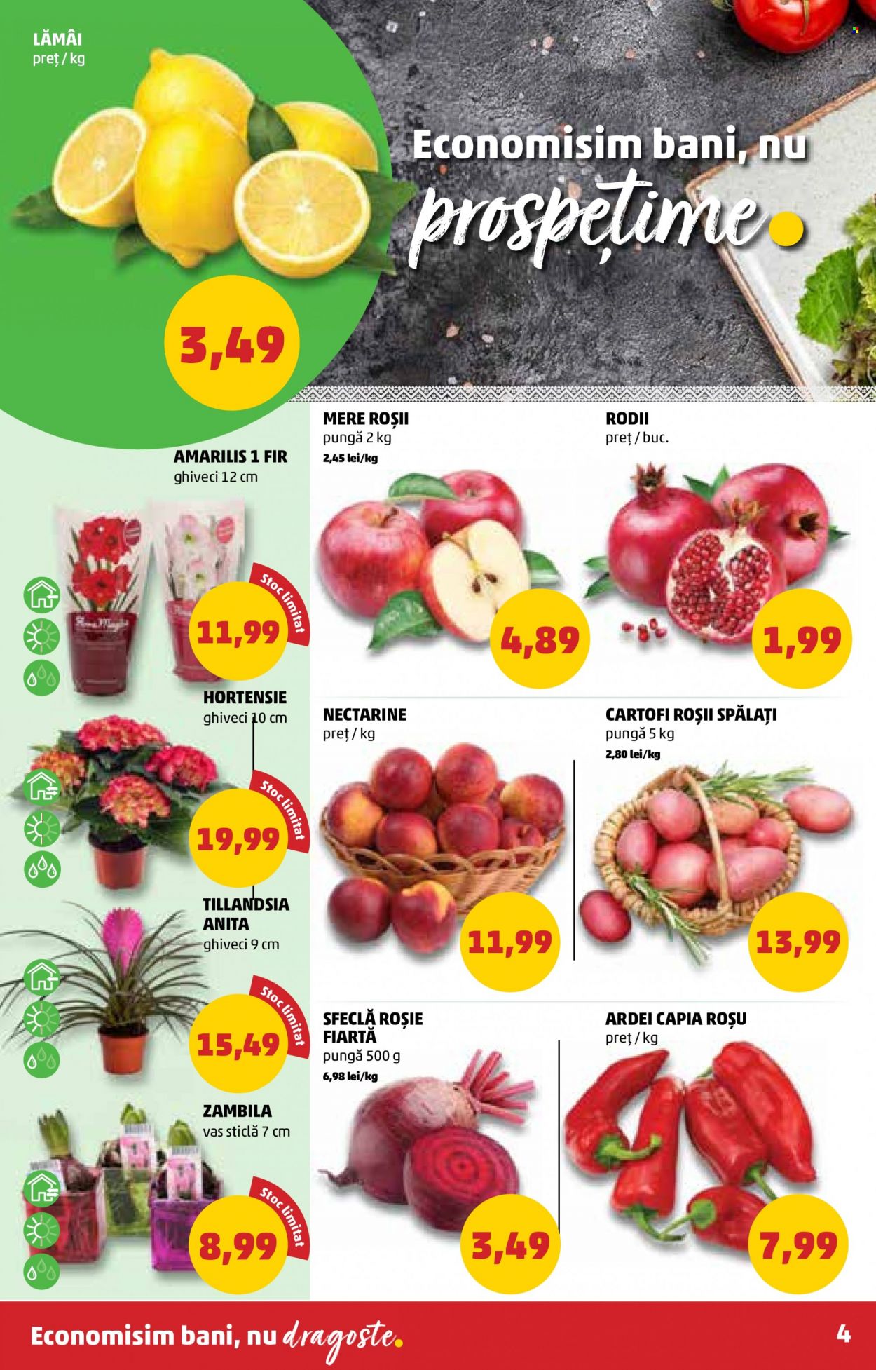 Catalog PENNY - 16.02.2022 - 22.02.2022. Pagina 4