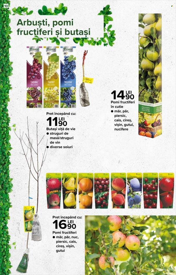 Catalog Carrefour - 17.02.2022 - 16.03.2022. Pagina 6