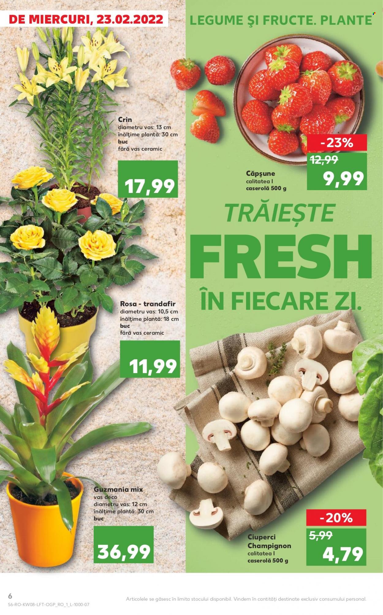 Catalog Kaufland - 23.02.2022 - 01.03.2022. Pagina 6