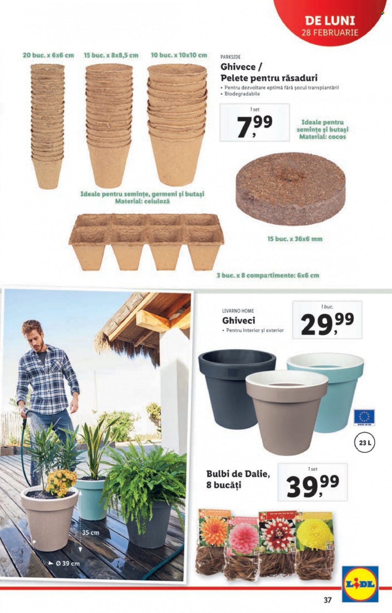 Catalog Lidl - 28.02.2022 - 06.03.2022. Pagina 37