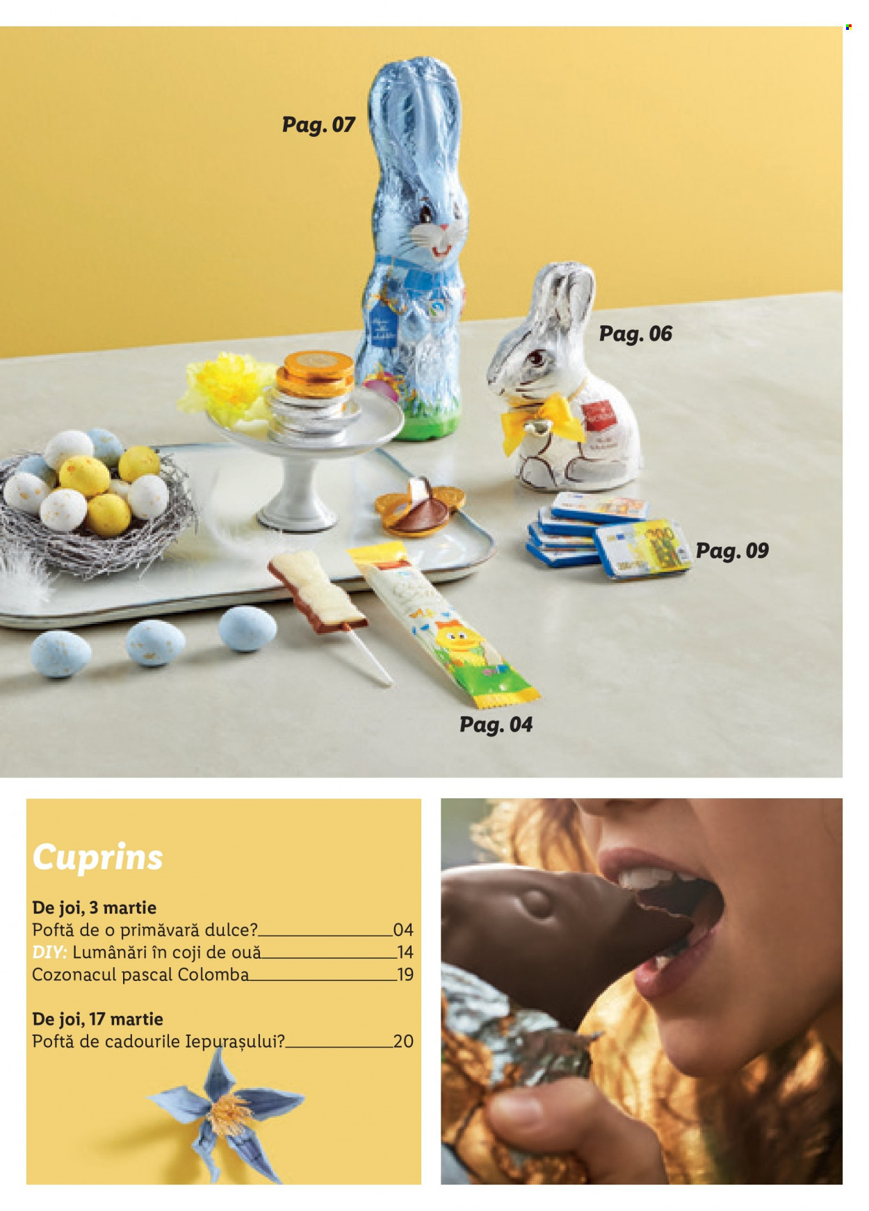 Catalog Lidl. Pagina 3