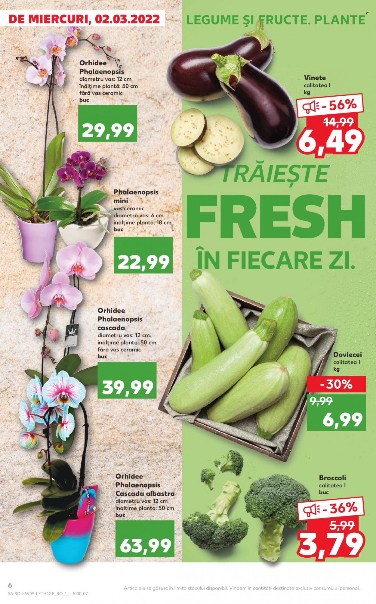 Catalog Kaufland - 02.03.2022 - 08.03.2022. Pagina 6