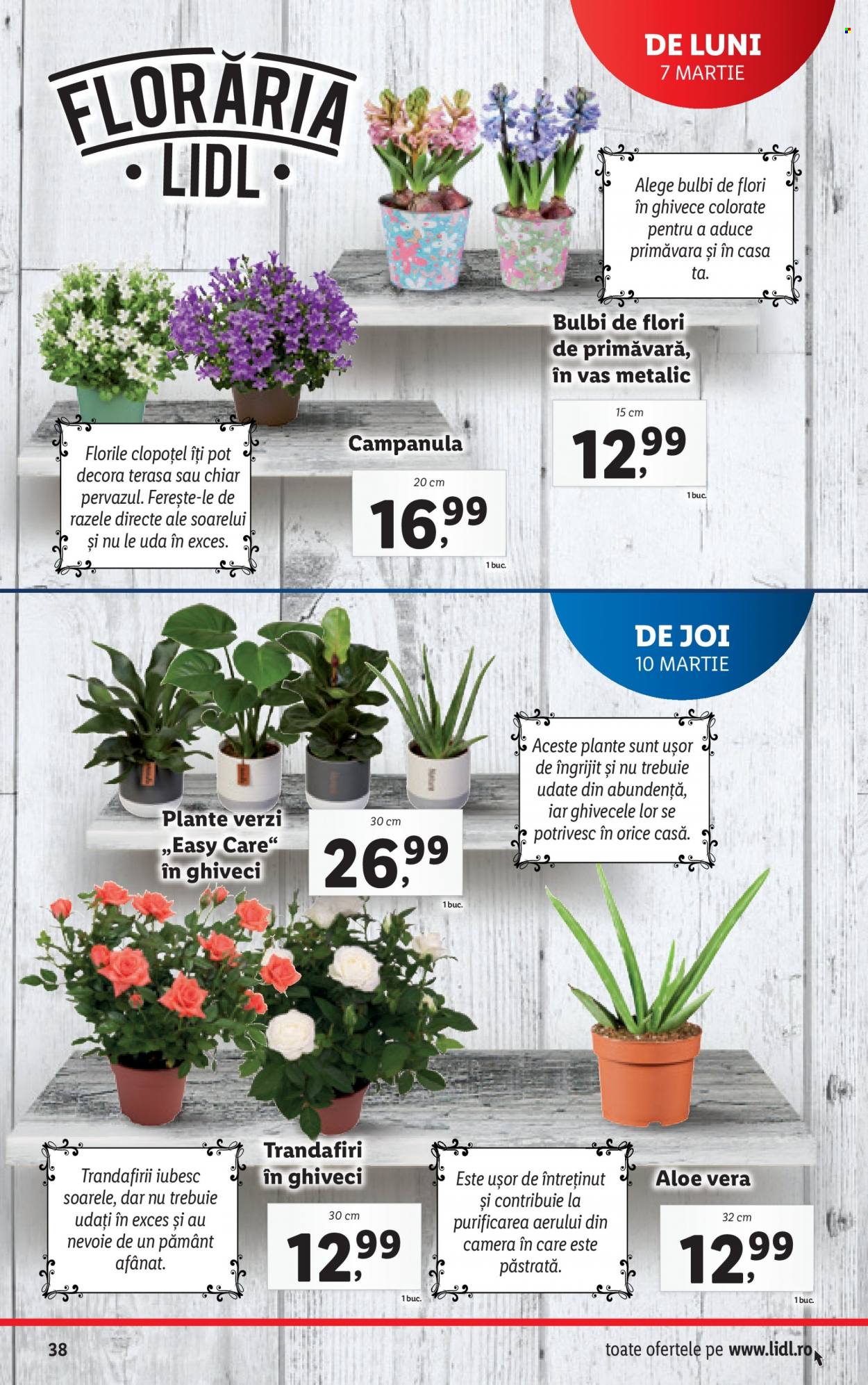 Catalog Lidl - 07.03.2022 - 13.03.2022. Pagina 38