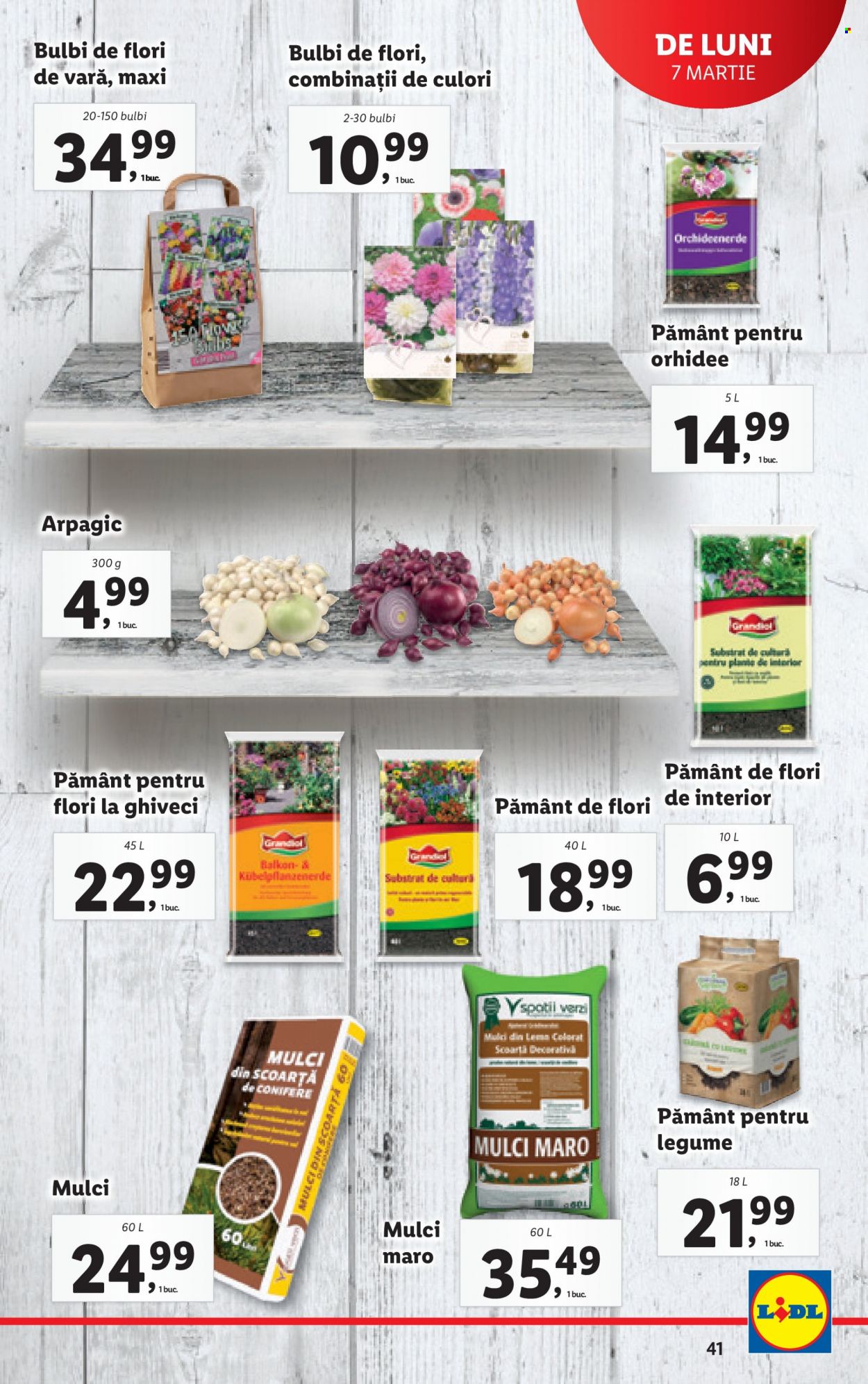 Catalog Lidl - 07.03.2022 - 13.03.2022. Pagina 41