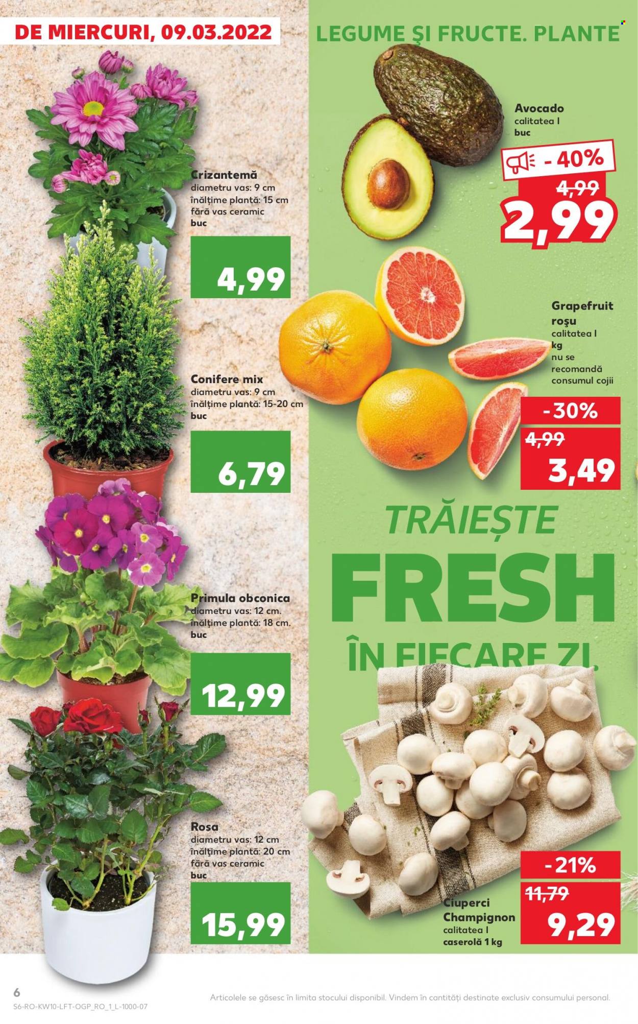 Catalog Kaufland - 09.03.2022 - 15.03.2022. Pagina 6