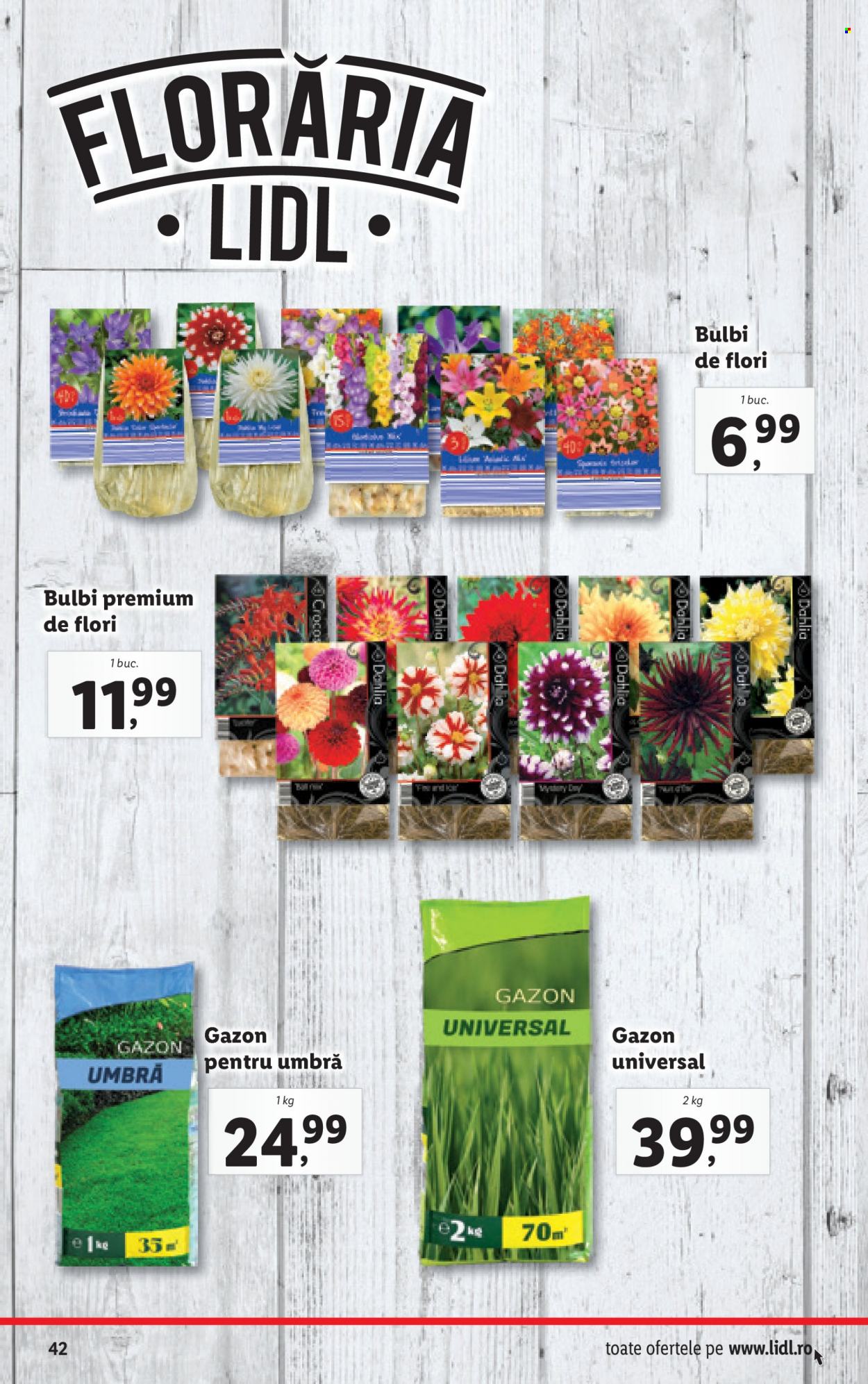 Catalog Lidl - 14.03.2022 - 20.03.2022. Pagina 42