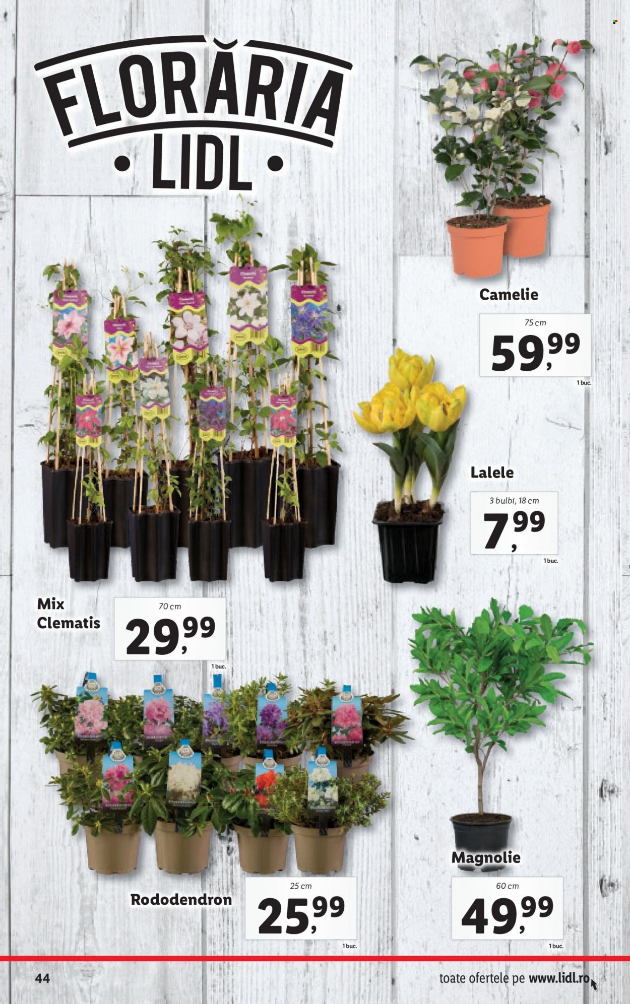 Catalog Lidl - 14.03.2022 - 20.03.2022. Pagina 44