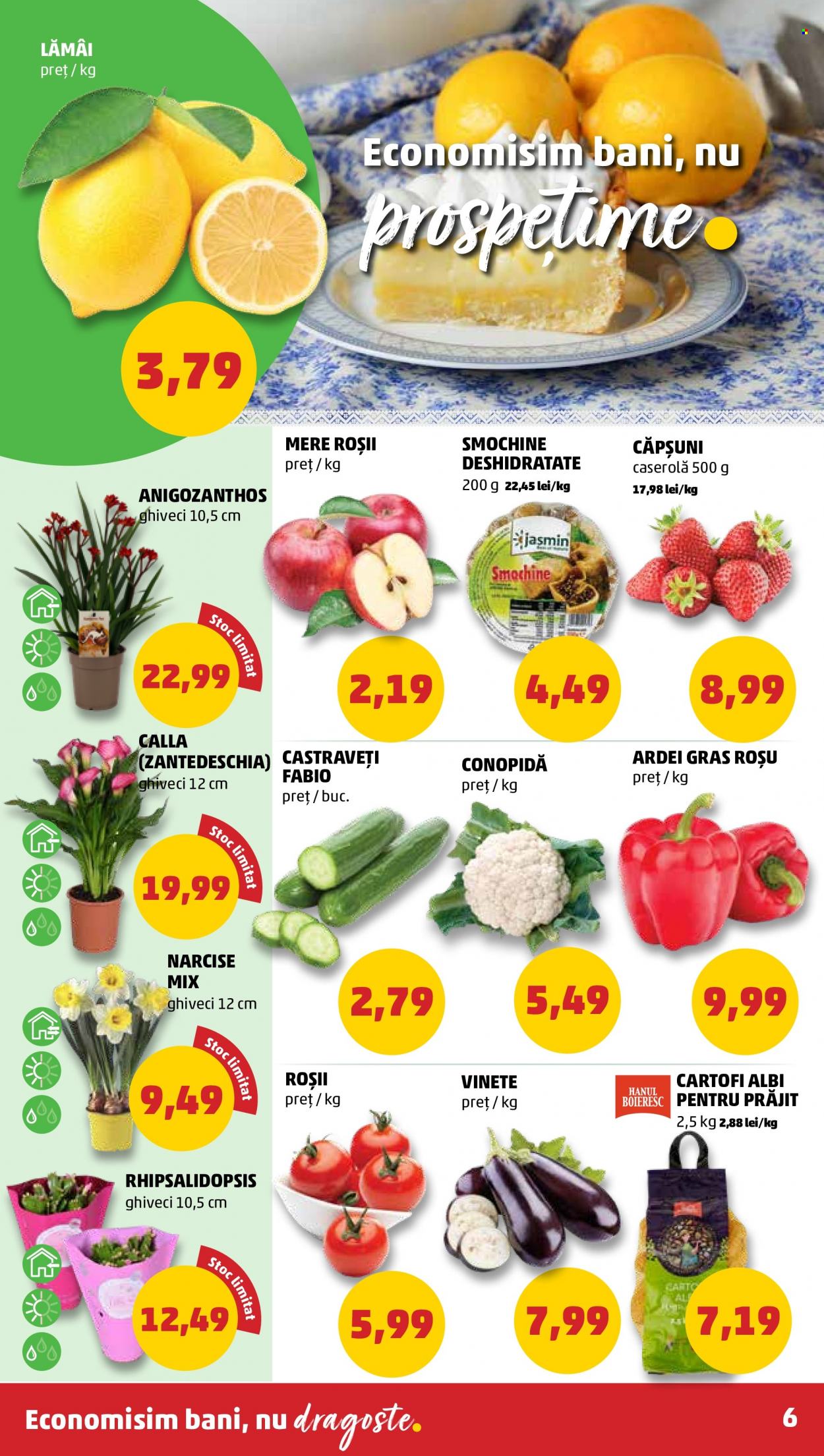 Catalog PENNY - 09.03.2022 - 15.03.2022. Pagina 6