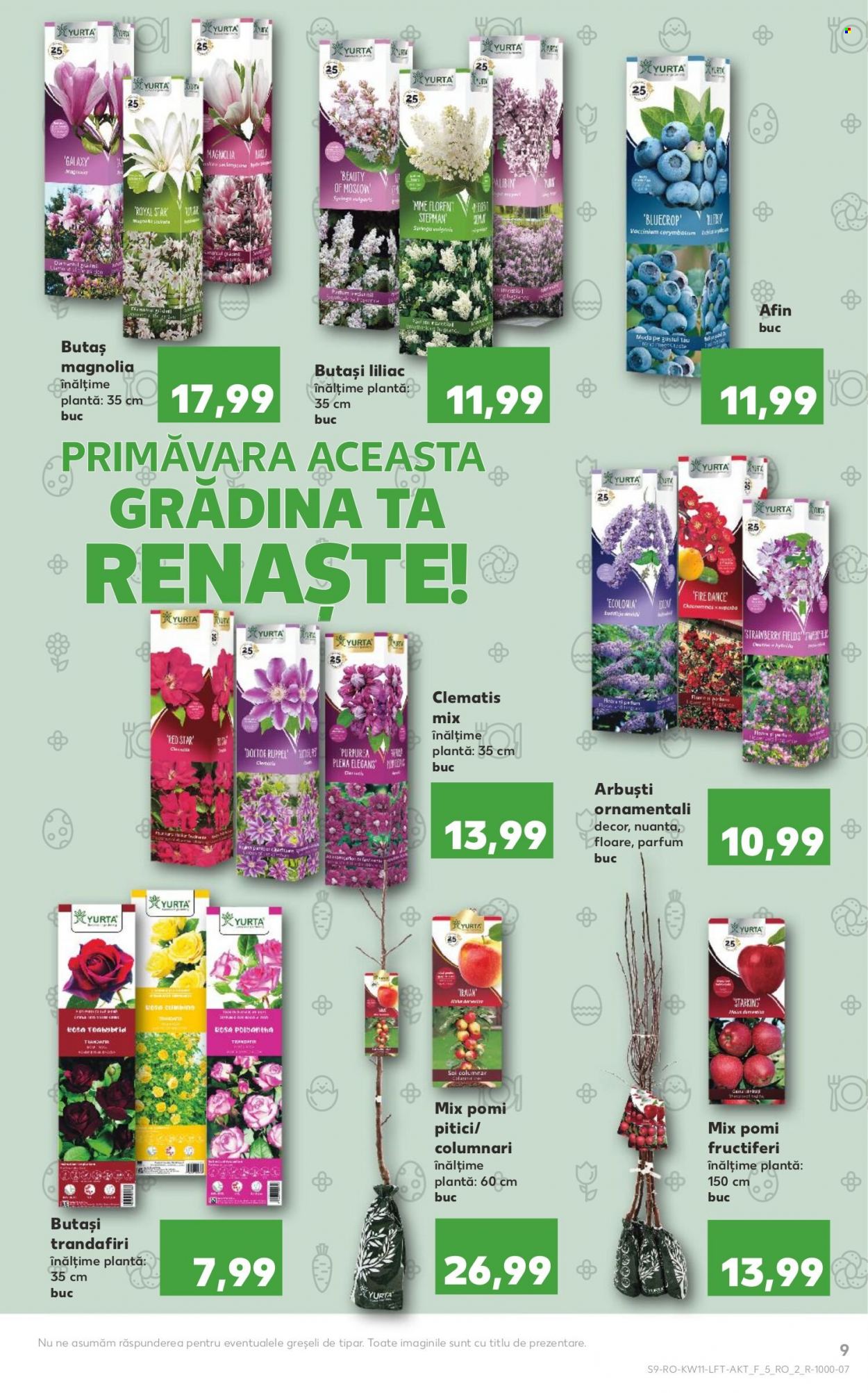 Catalog Kaufland - 16.03.2022 - 22.03.2022. Pagina 9