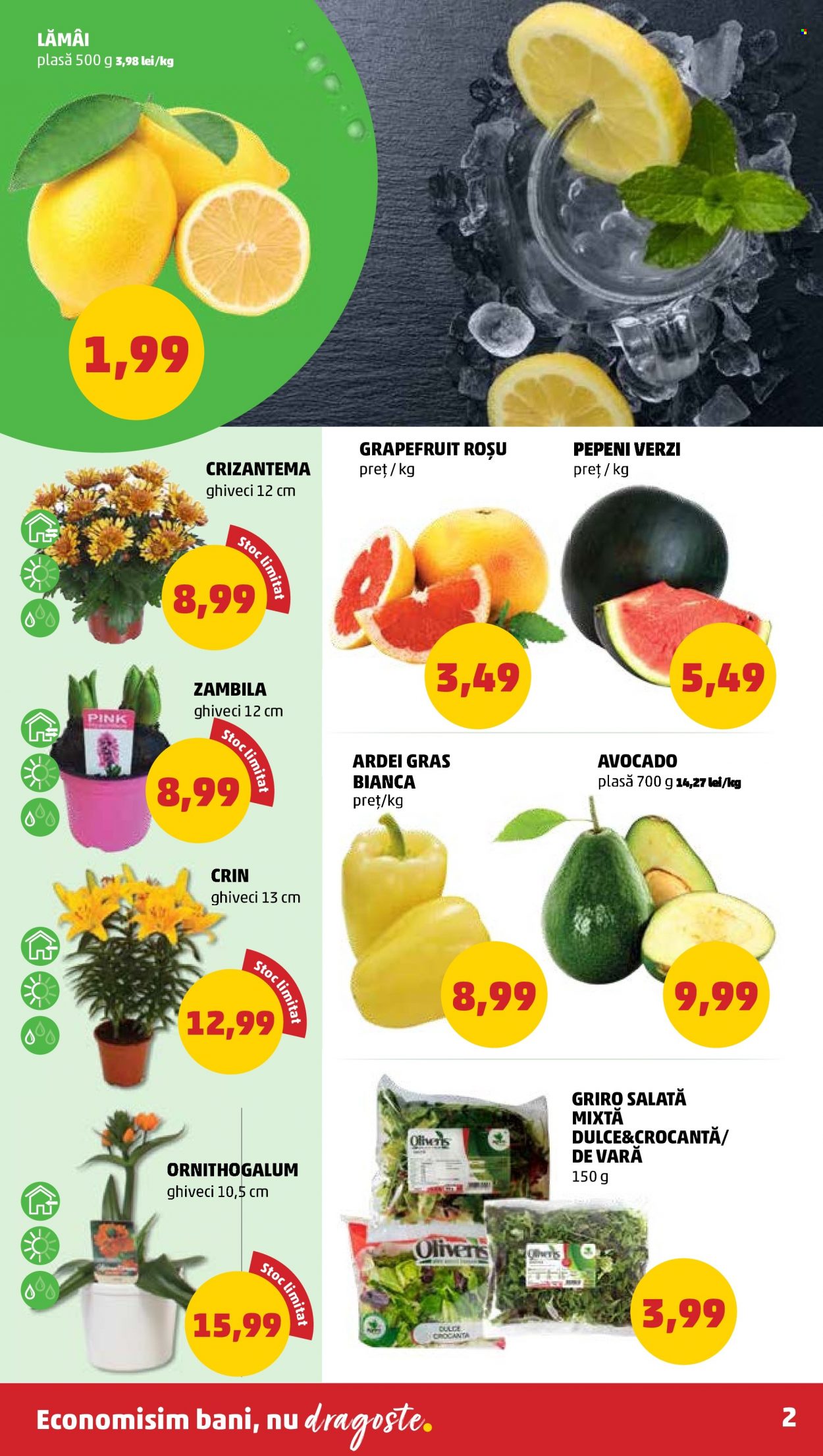 Catalog PENNY - 16.03.2022 - 22.03.2022. Pagina 2