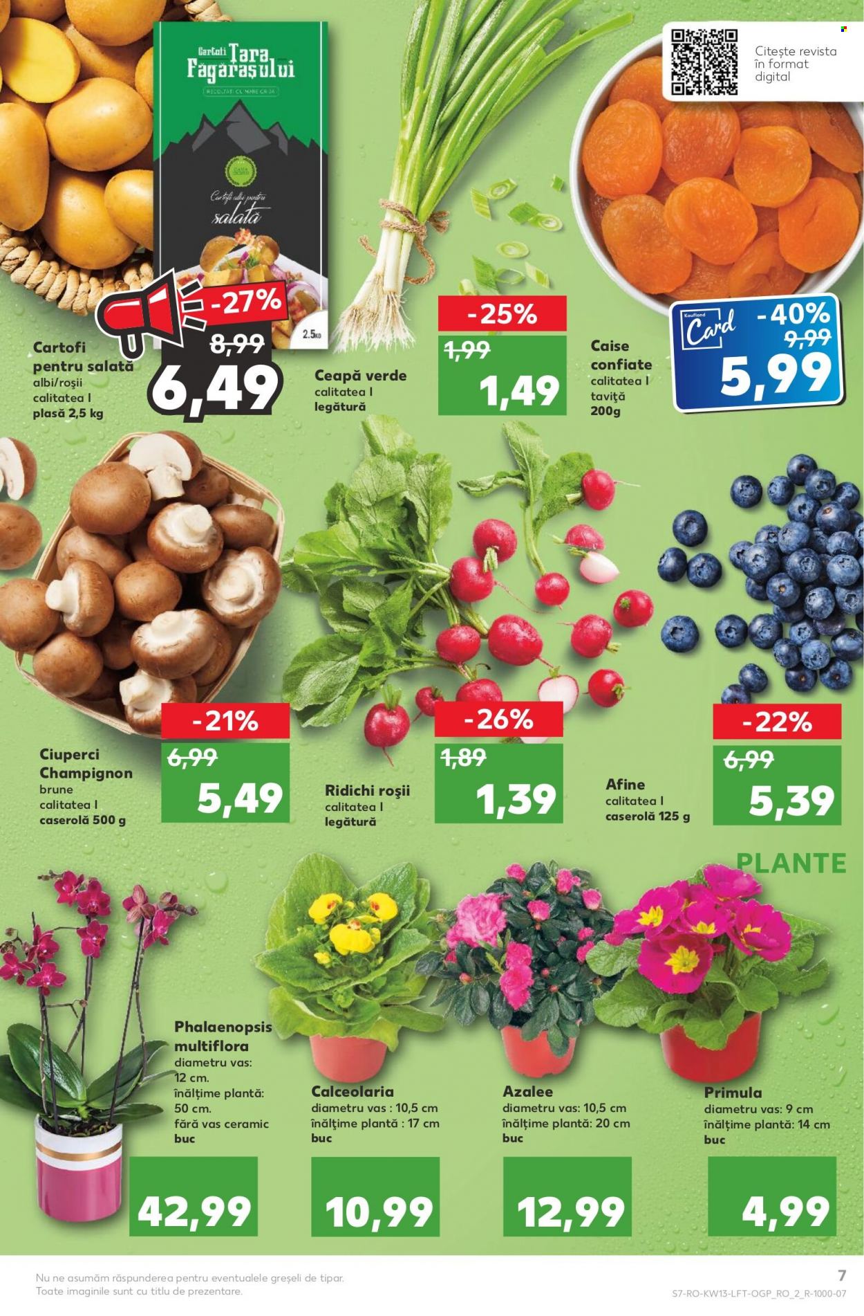 Catalog Kaufland - 30.03.2022 - 05.04.2022. Pagina 7