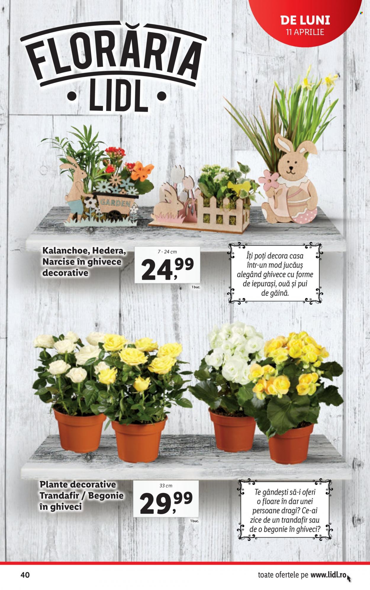 Catalog Lidl - 11.04.2022 - 17.04.2022. Pagina 40