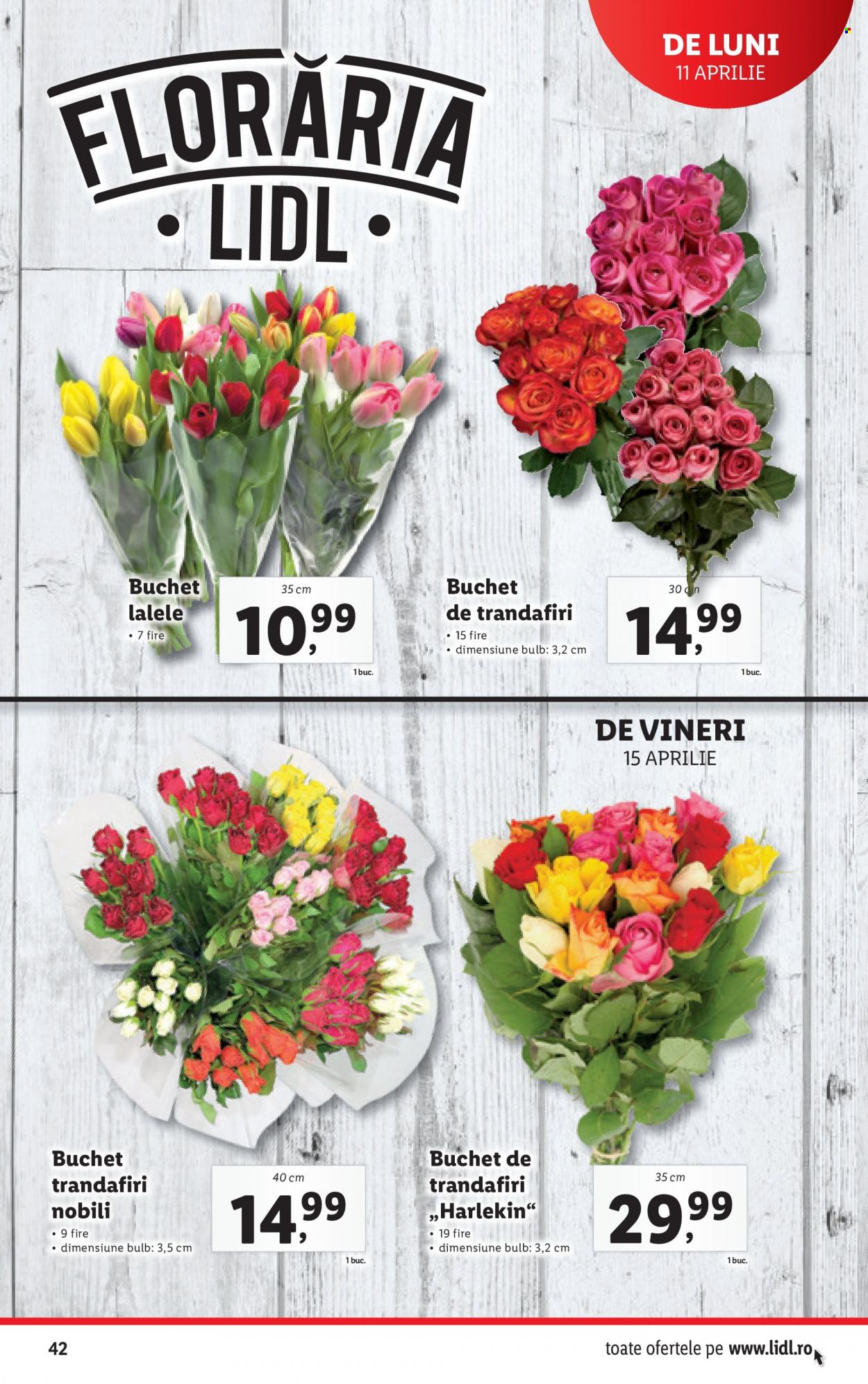 Catalog Lidl - 11.04.2022 - 17.04.2022. Pagina 42