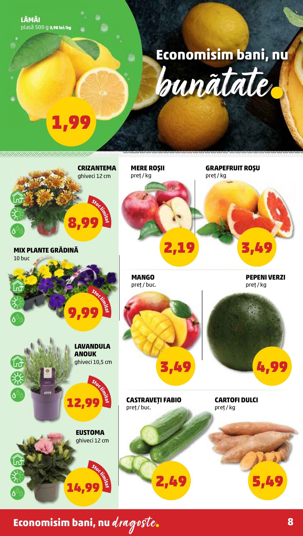 Catalog PENNY - 06.04.2022 - 12.04.2022. Pagina 8