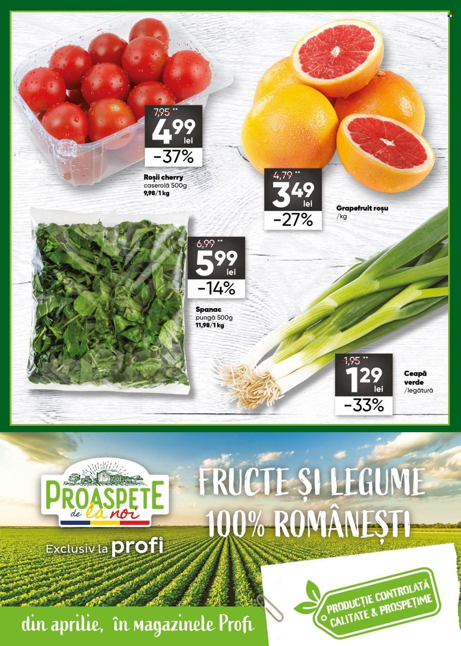 Catalog Profi Loco - 06.04.2022 - 17.04.2022. Pagina 5