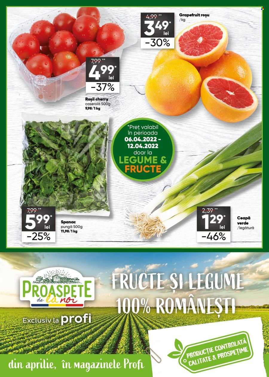 Catalog Profi Loco - 06.04.2022 - 17.04.2022. Pagina 2