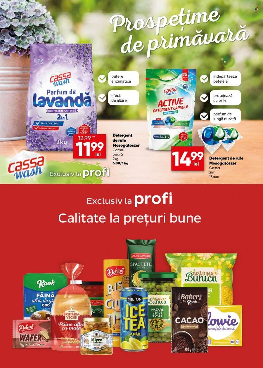 Catalog Profi Loco - 06.04.2022 - 17.04.2022. Pagina 10