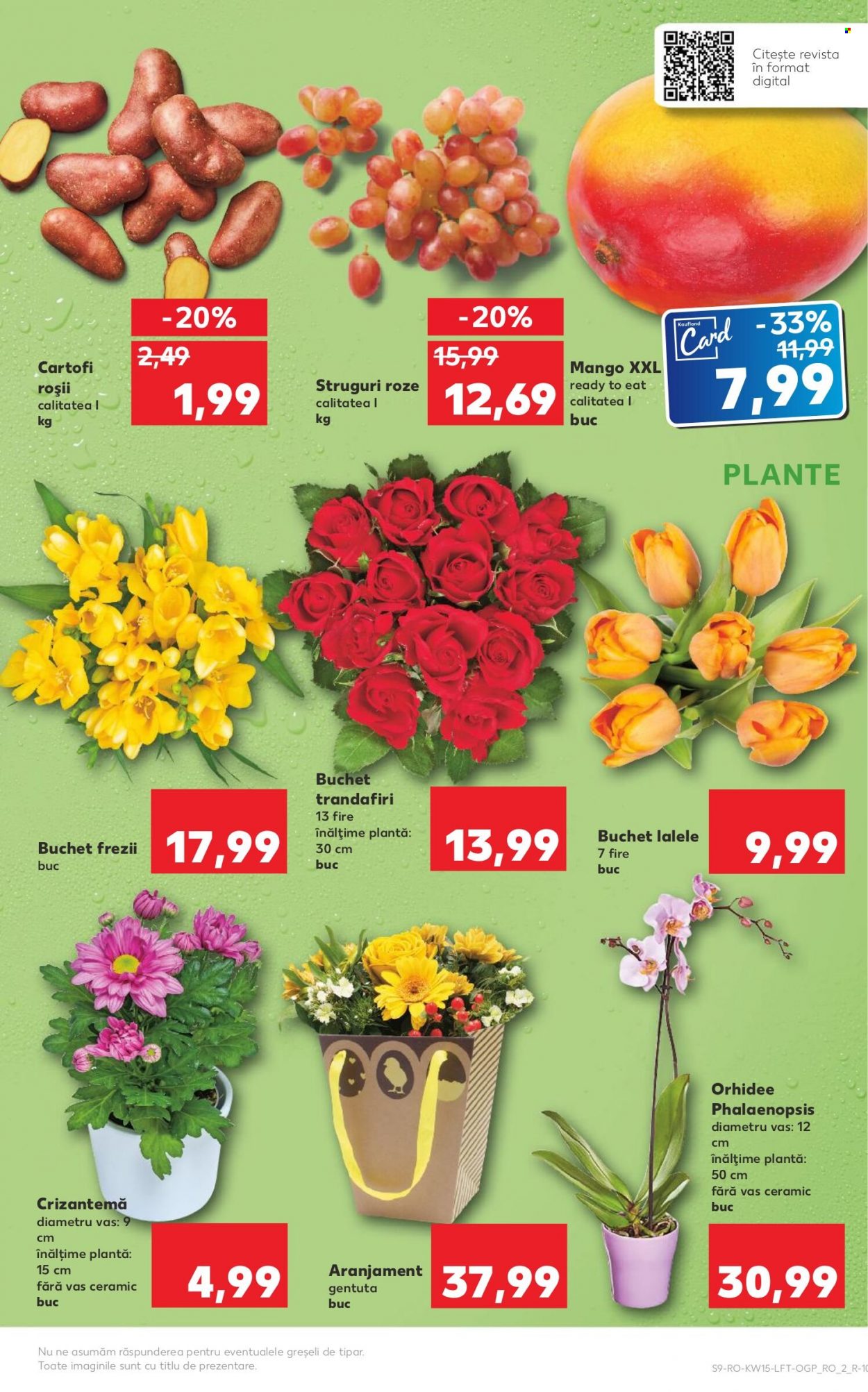 Catalog Kaufland - 13.04.2022 - 19.04.2022. Pagina 9