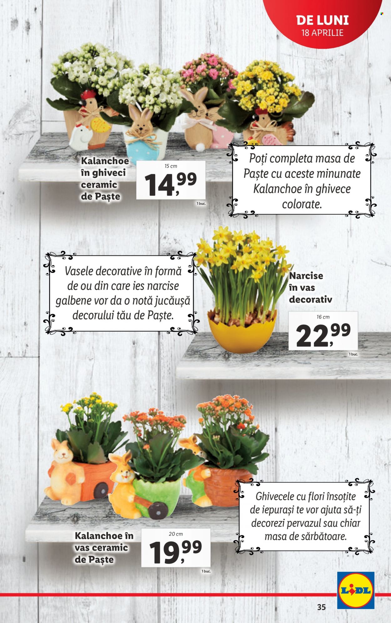Catalog Lidl - 18.04.2022 - 23.04.2022. Pagina 35