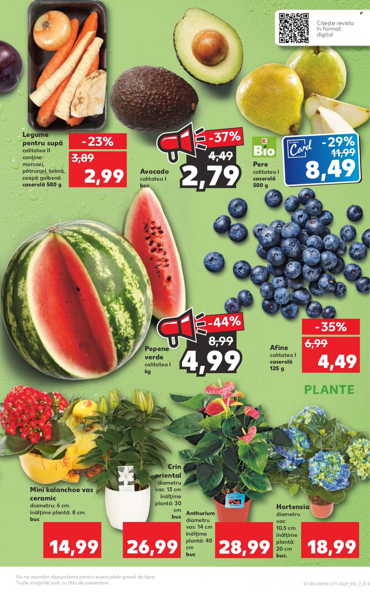 Catalog Kaufland - 20.04.2022 - 26.04.2022. Pagina 7