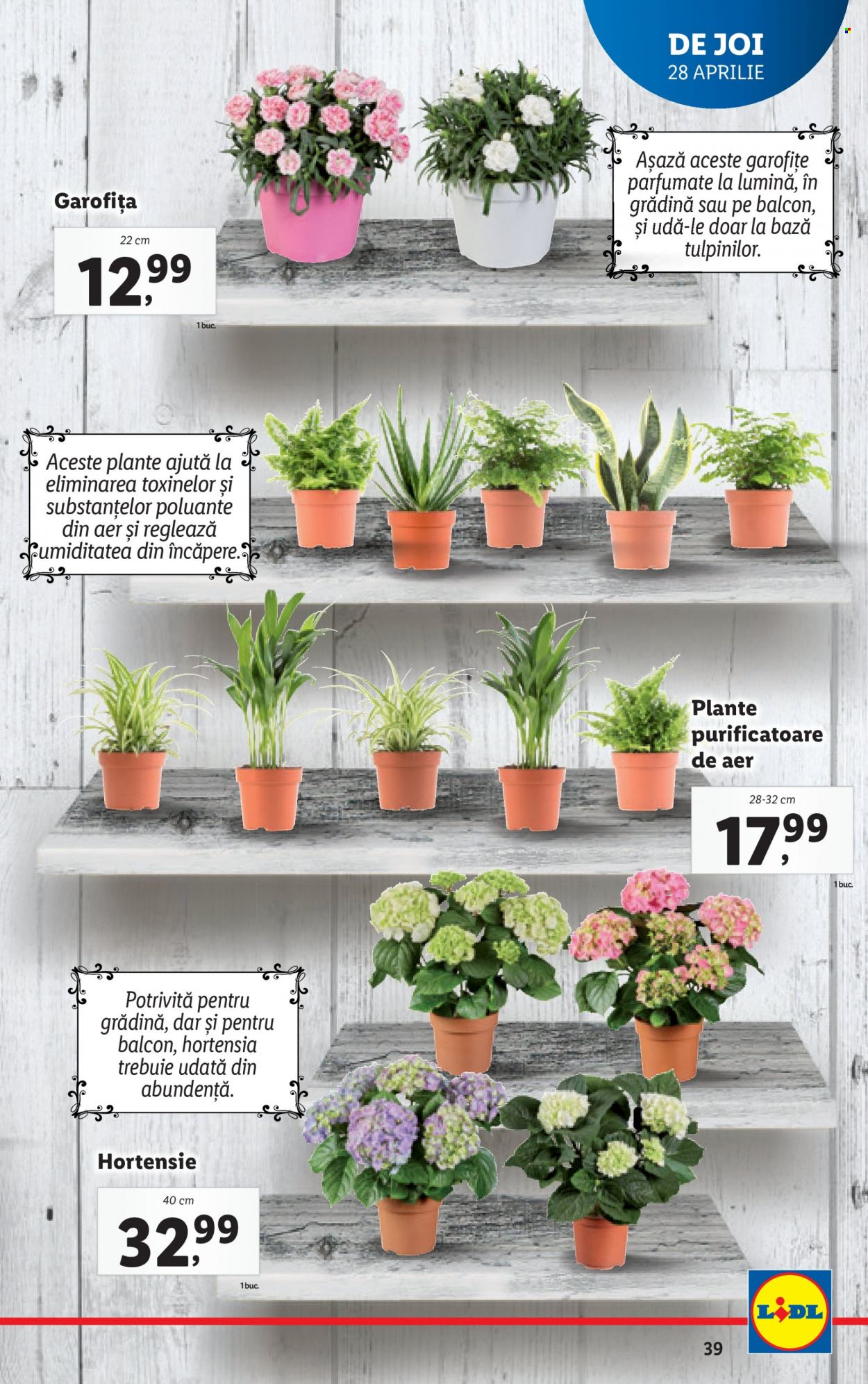 Catalog Lidl - 26.04.2022 - 01.05.2022. Pagina 39