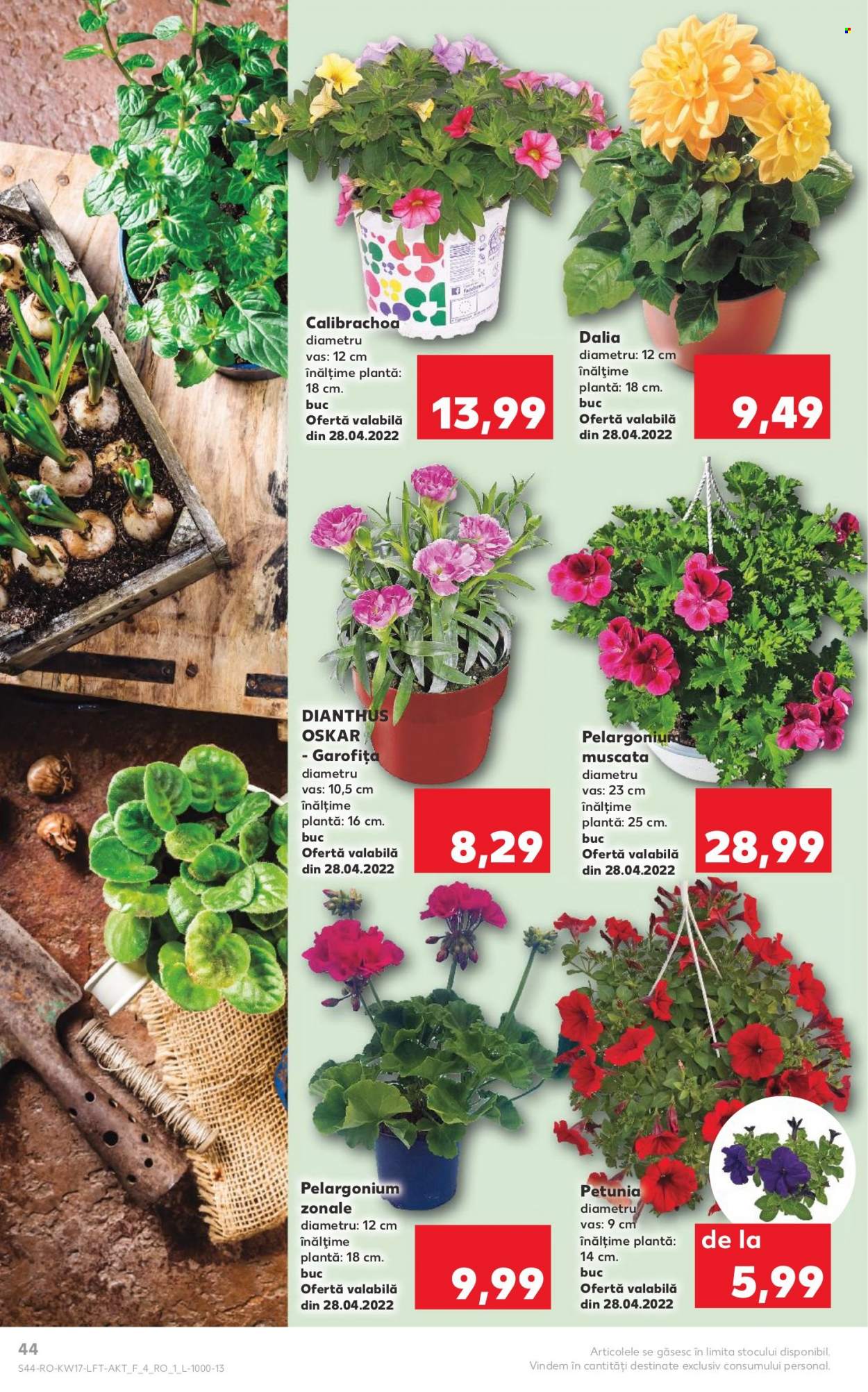 Catalog Kaufland - 27.04.2022 - 03.05.2022. Pagina 44