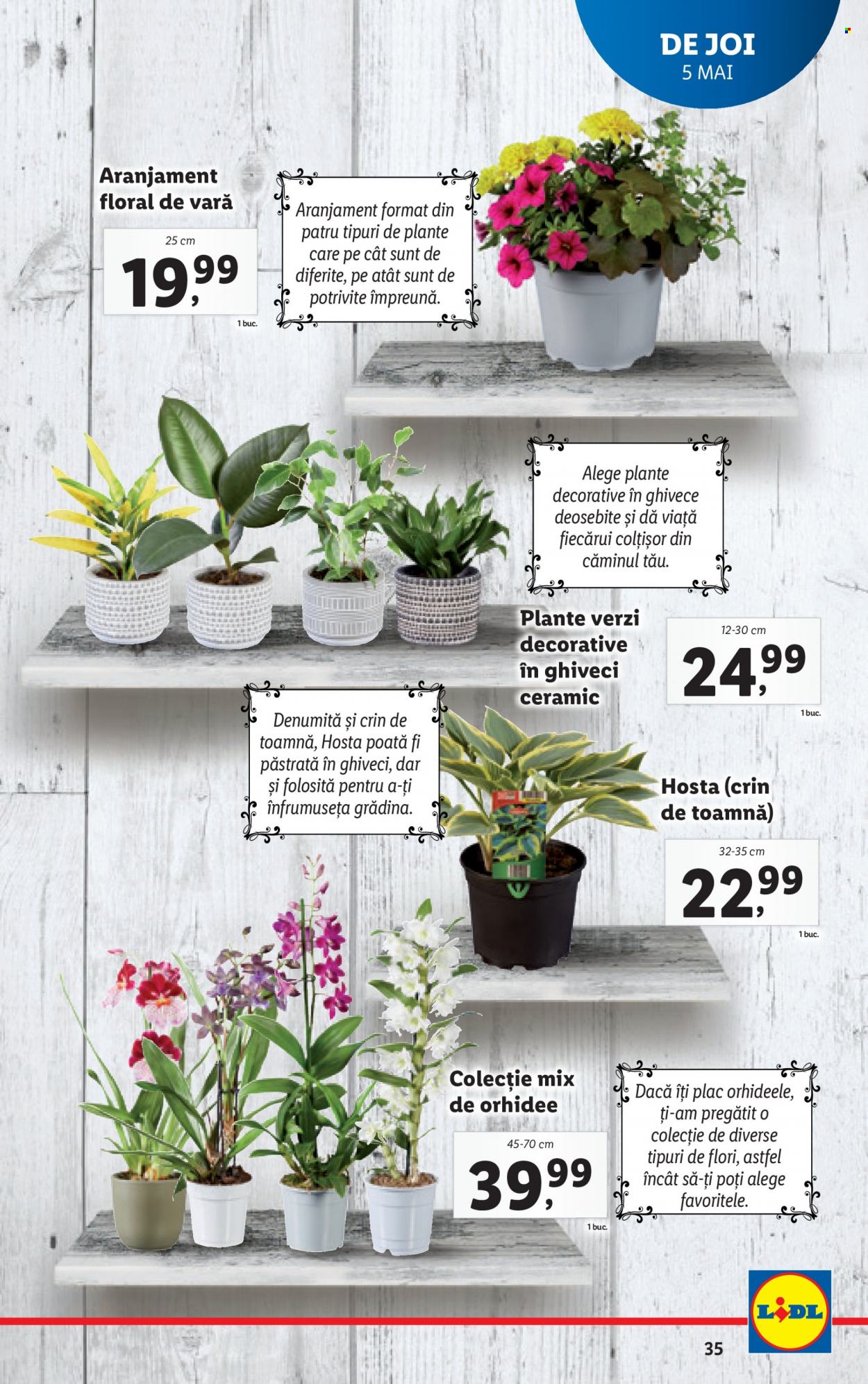 Catalog Lidl - 02.05.2022 - 08.05.2022. Pagina 35