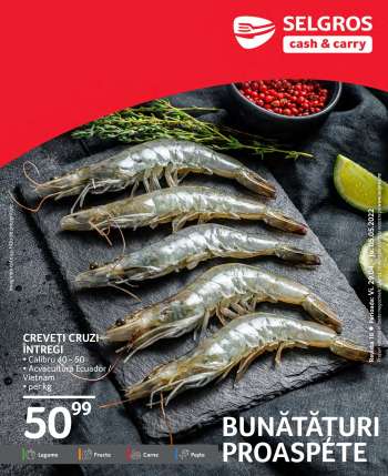 Cataloage Selgros - 29.04.2022 - 05.05.2022.