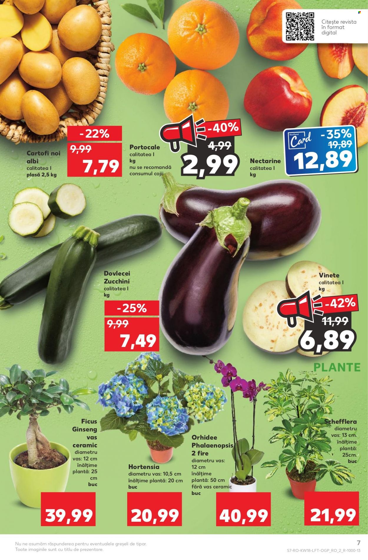 Catalog Kaufland - 04.05.2022 - 10.05.2022. Pagina 7