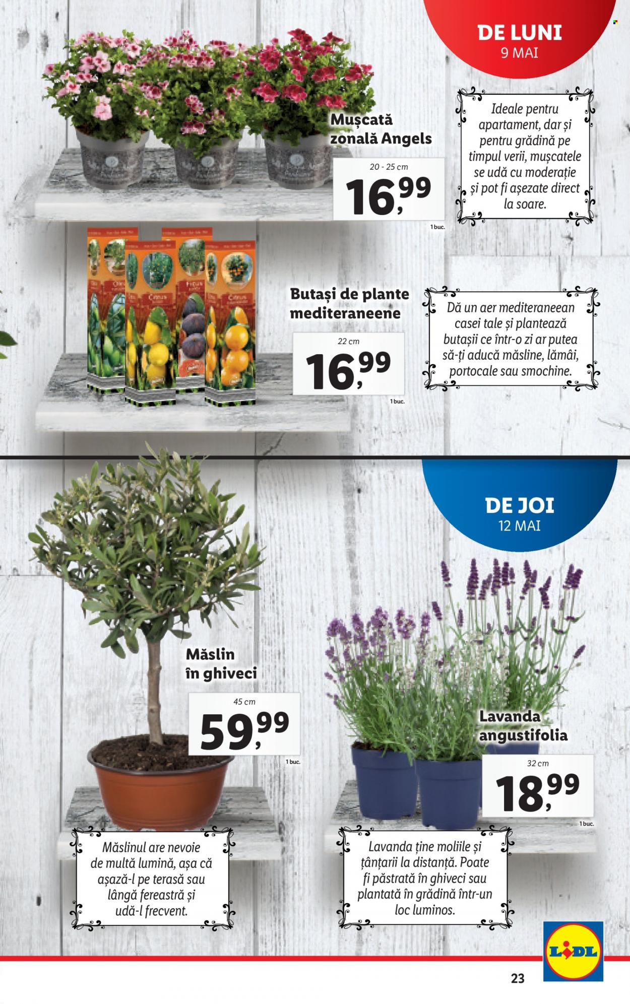Catalog Lidl - 09.05.2022 - 15.05.2022. Pagina 23