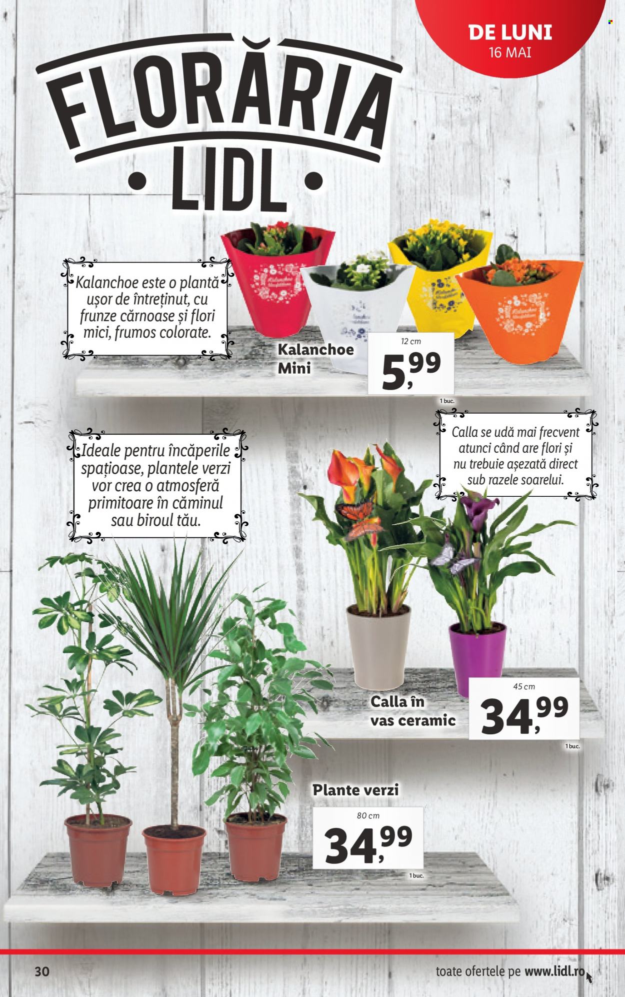 Catalog Lidl - 16.05.2022 - 22.05.2022. Pagina 30