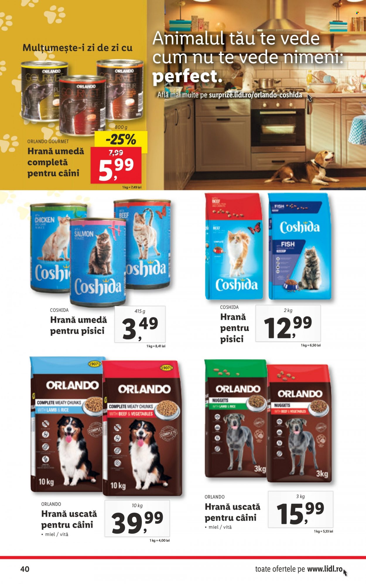 Catalog Lidl - 16.05.2022 - 22.05.2022. Pagina 40