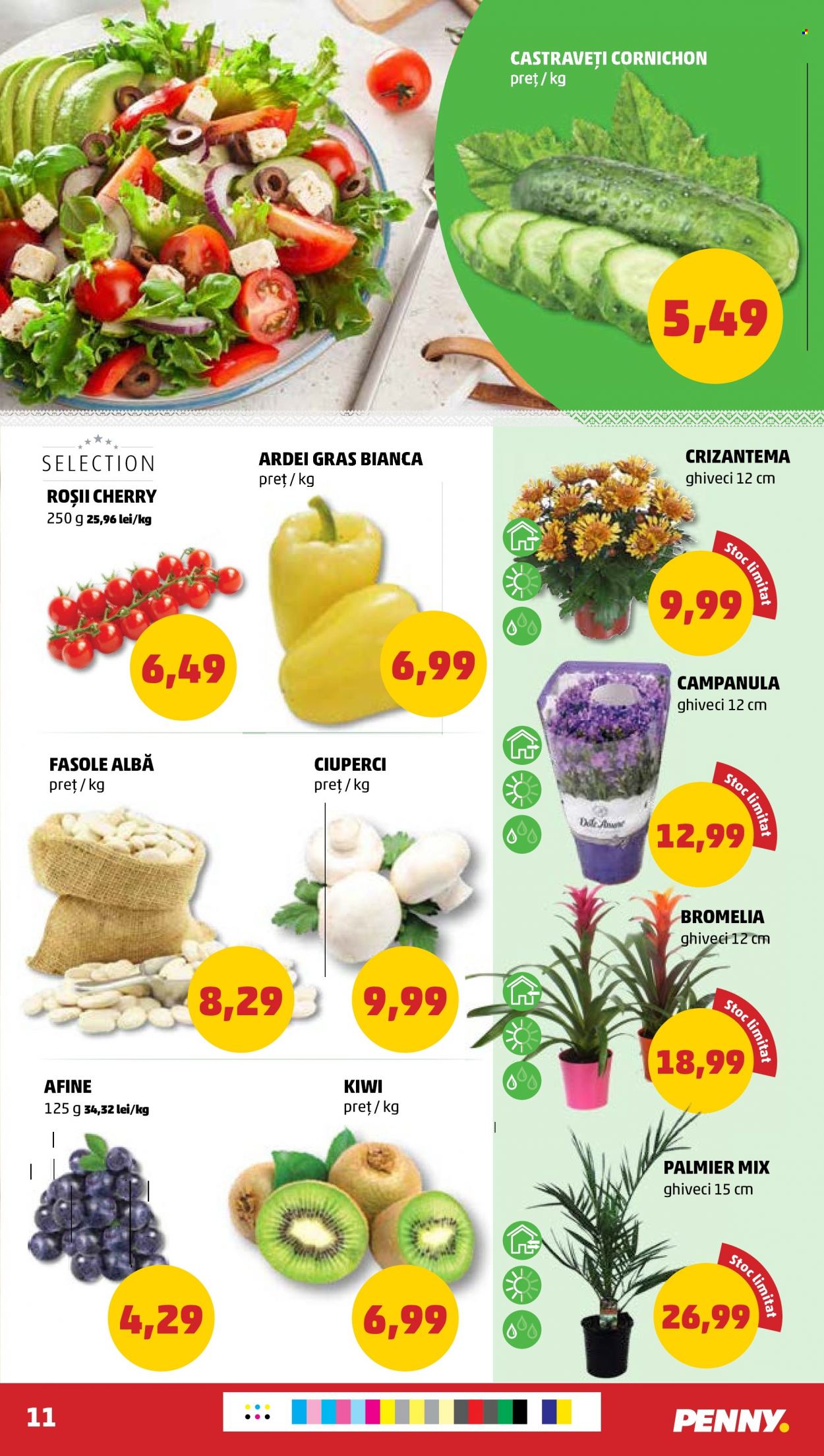 Catalog PENNY - 18.05.2022 - 24.05.2022. Pagina 11